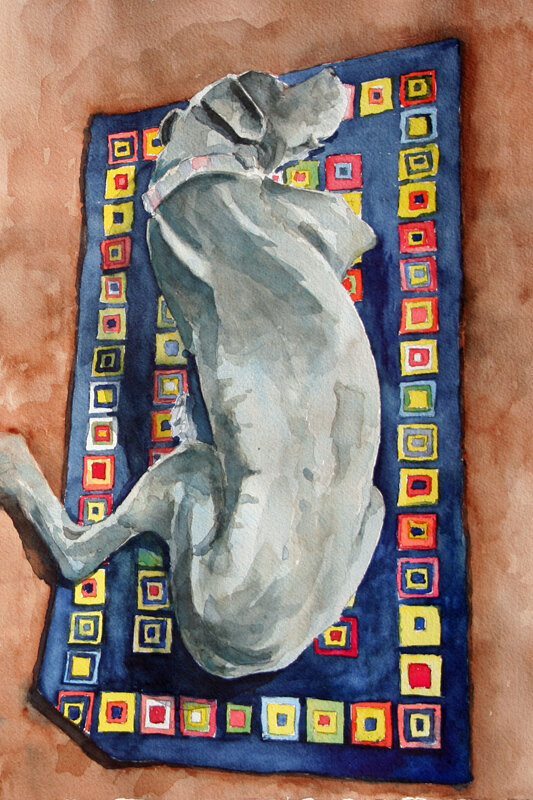 "Bella Napping" by Patti Kiuber