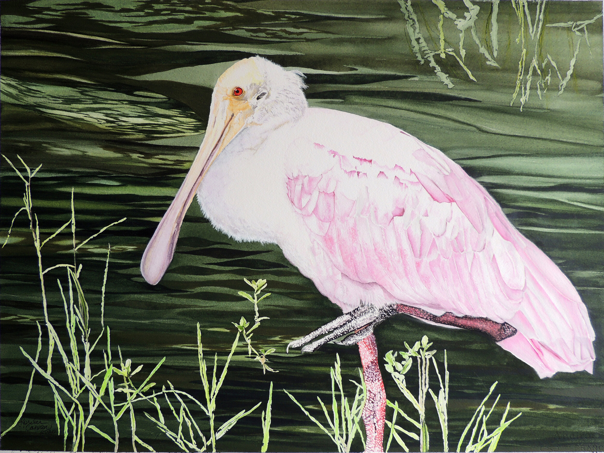 "Spoonbill Near the Walmart" by Lorelei Cannon
