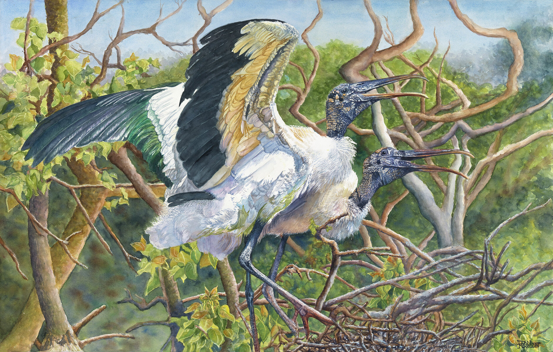 Second Place: “Wood Stork Pair” by Donna Morrison