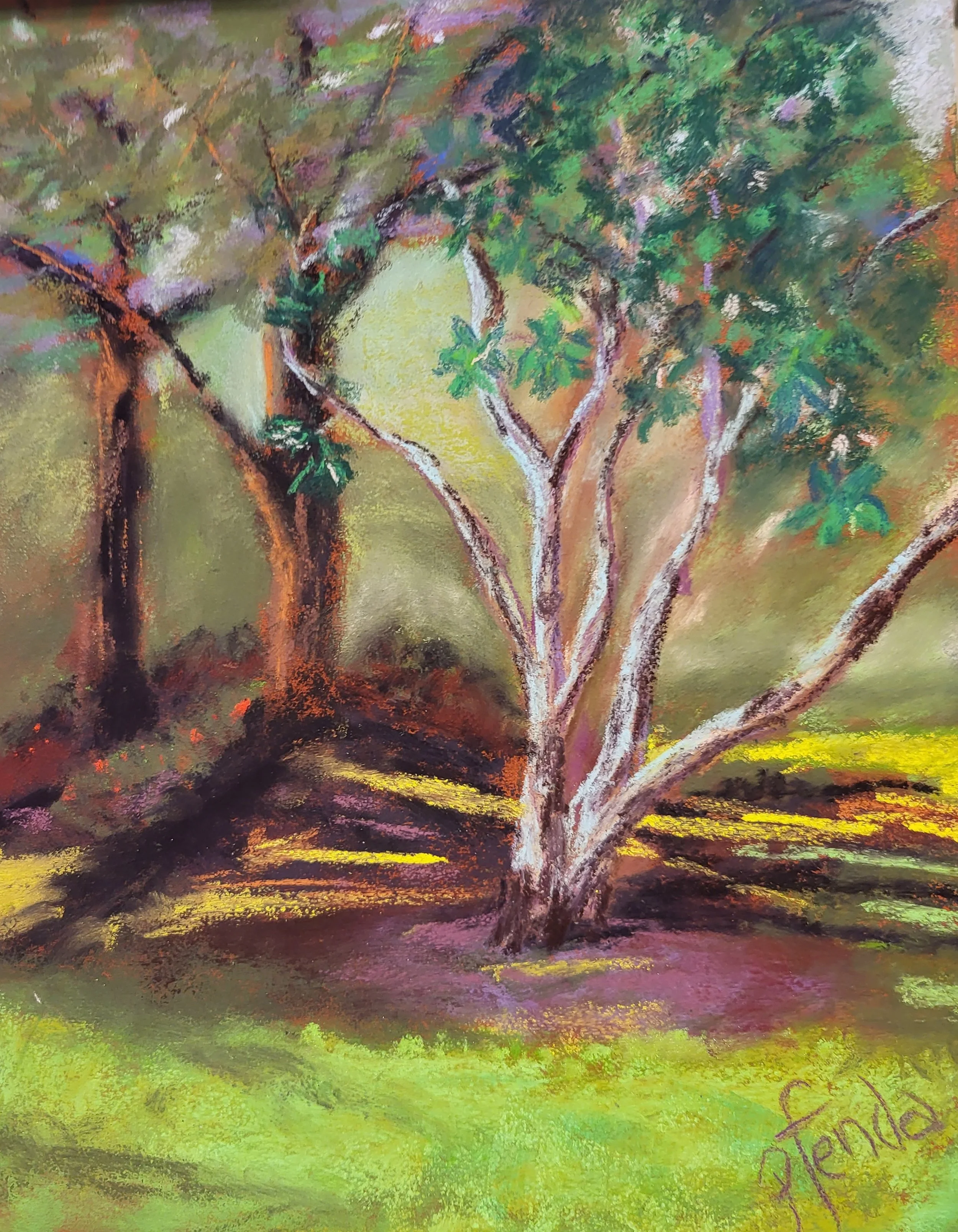 Fenda_P_Largo Light.jpg