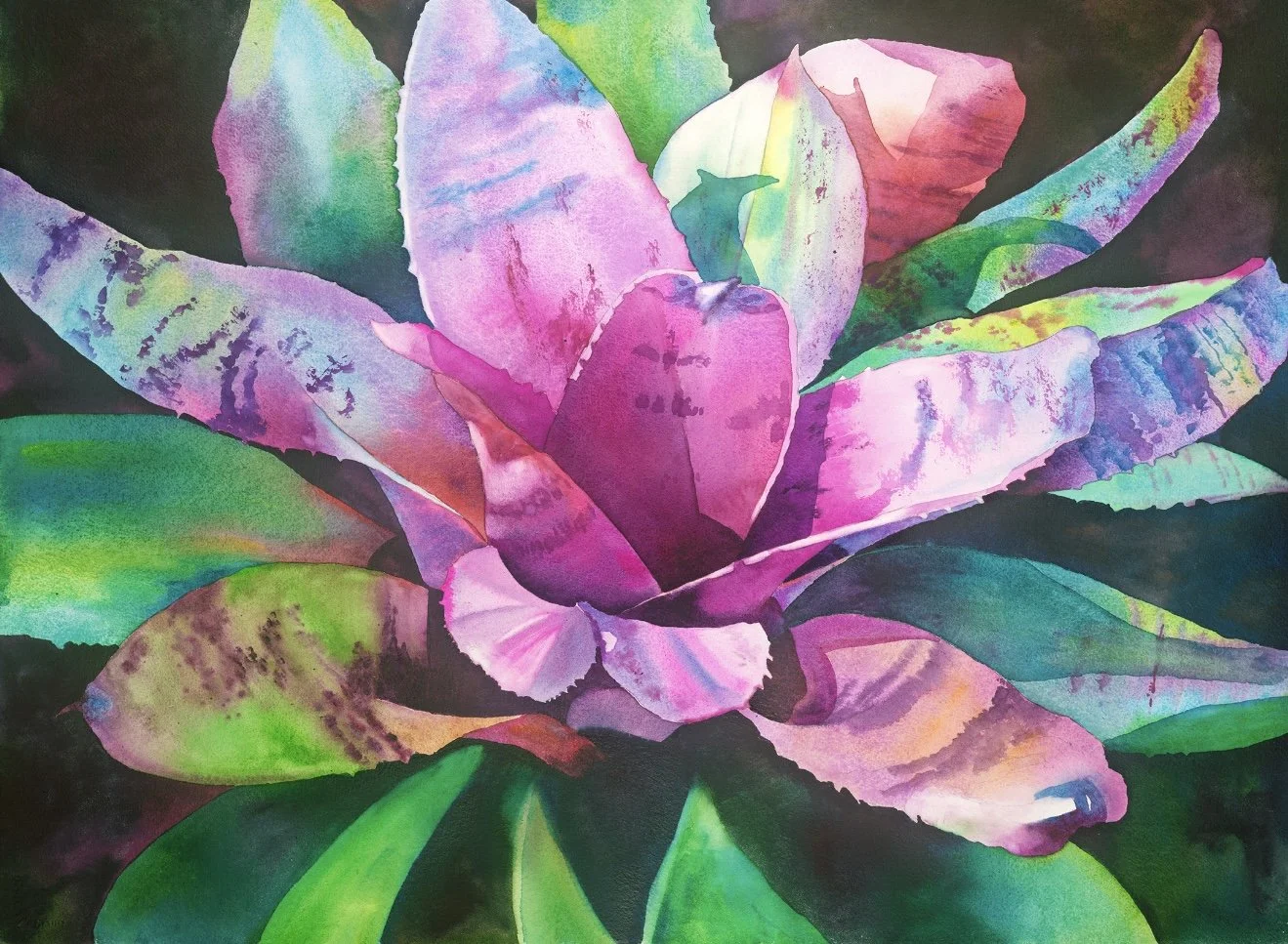A Abgott Bromeliad copy.jpg