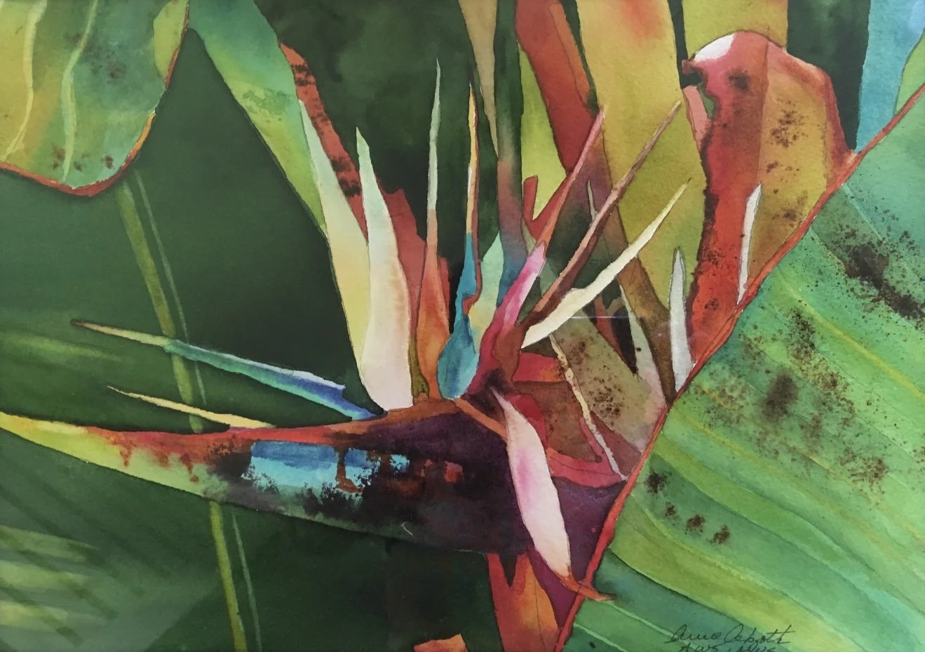 A Abgott Bird of Paradise copy.jpg