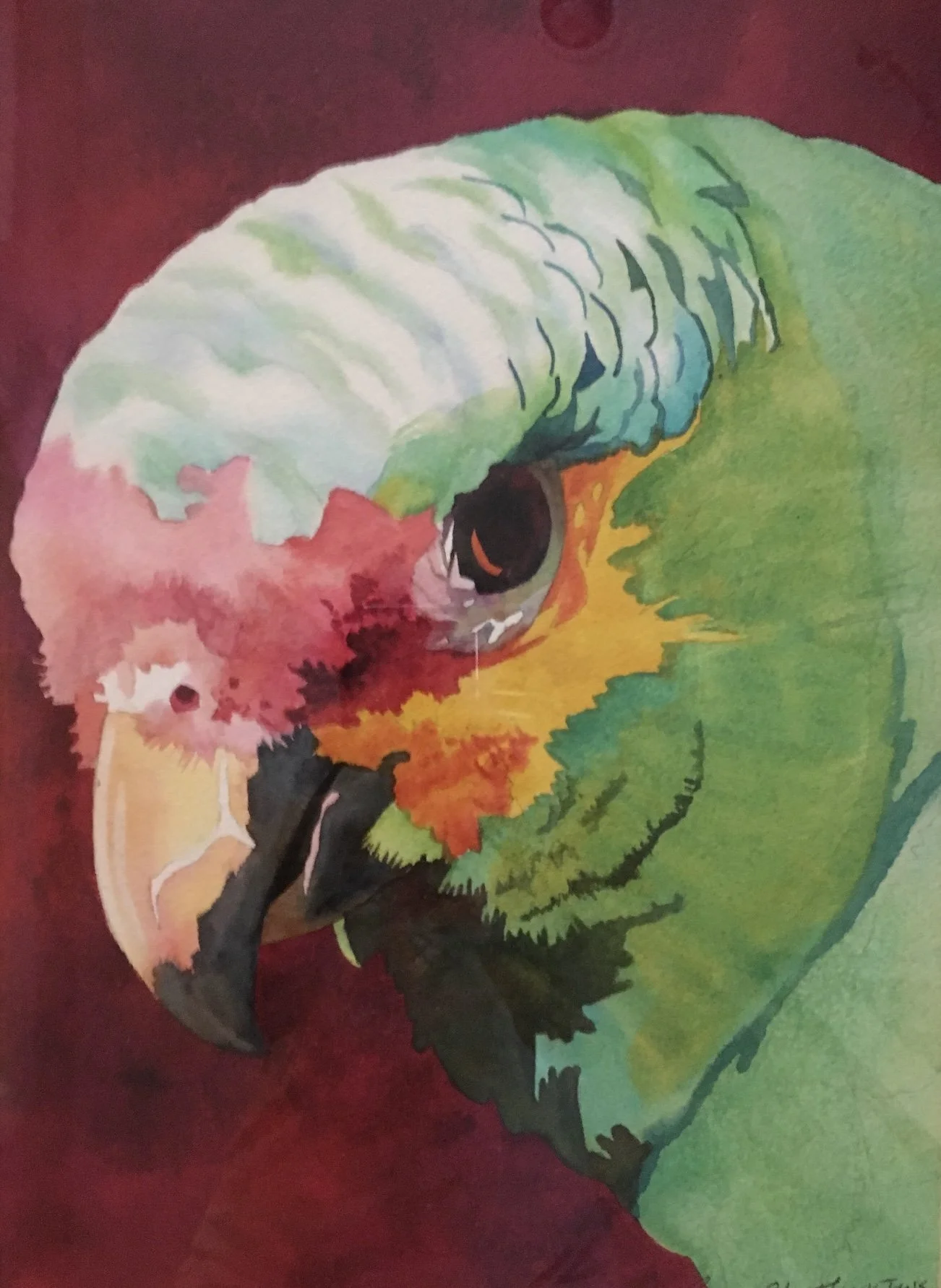 A Abgott Bird copy.jpg