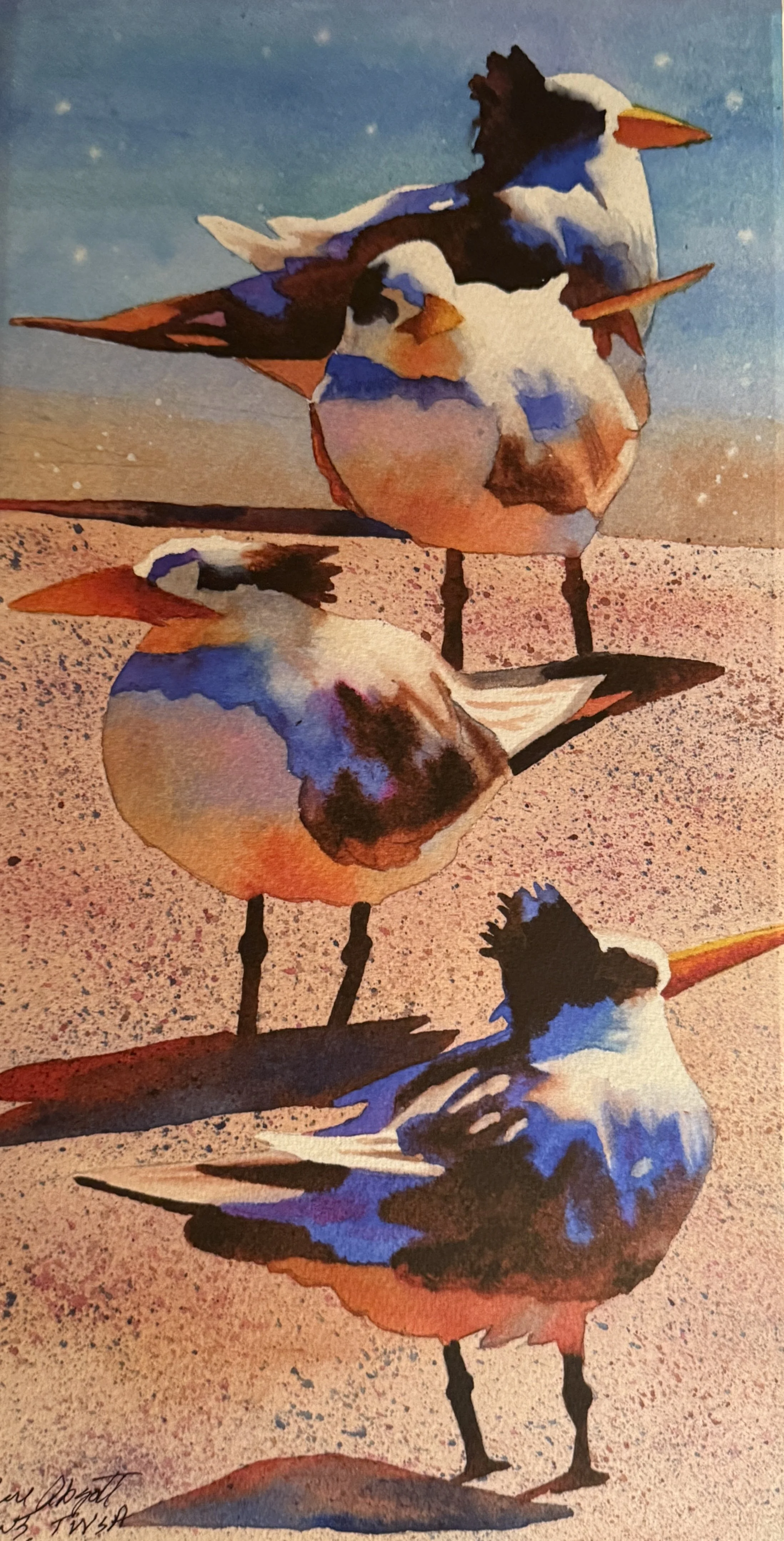 A Abgott Birds on the Beach copy.jpg