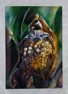 "Storm Corn"