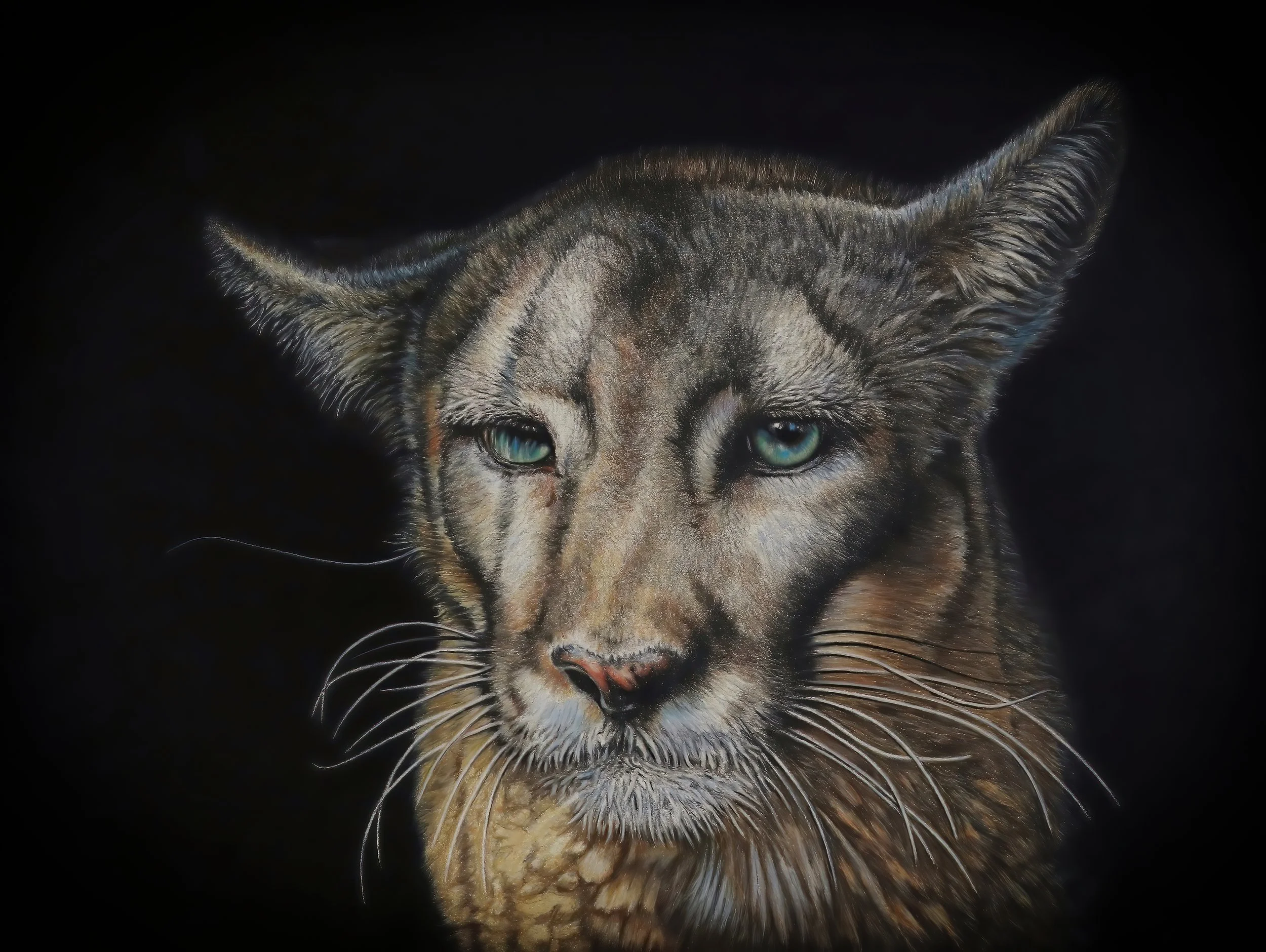 Call for Artists: Fin, Fur and Feather