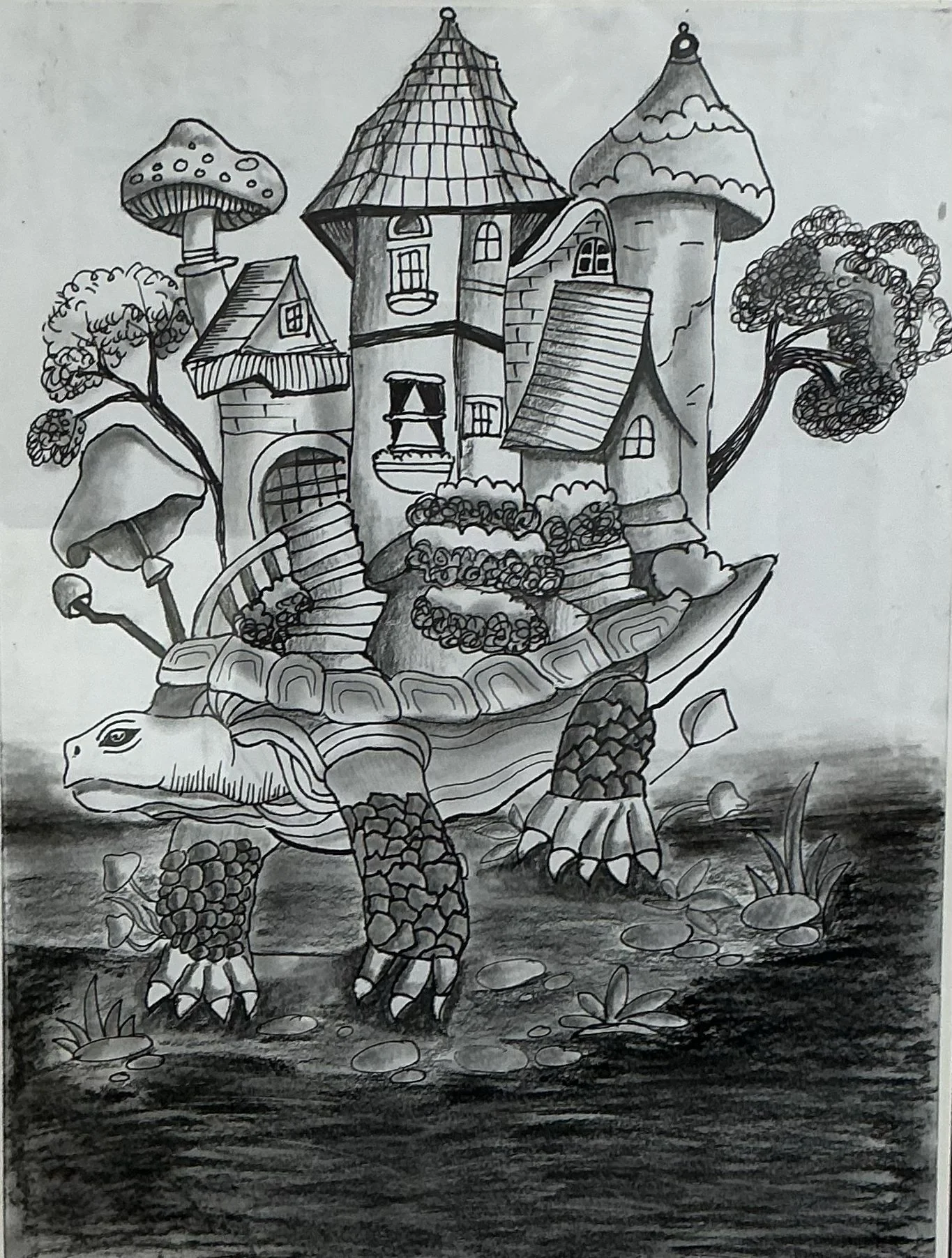 Honorable Mention - Turtle's Illusion
