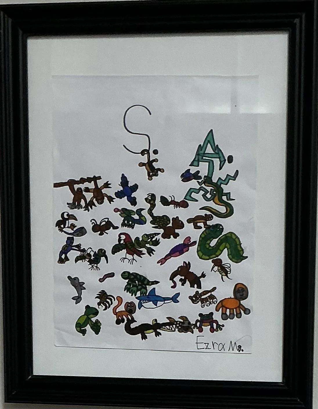 Honorable Mention - South America