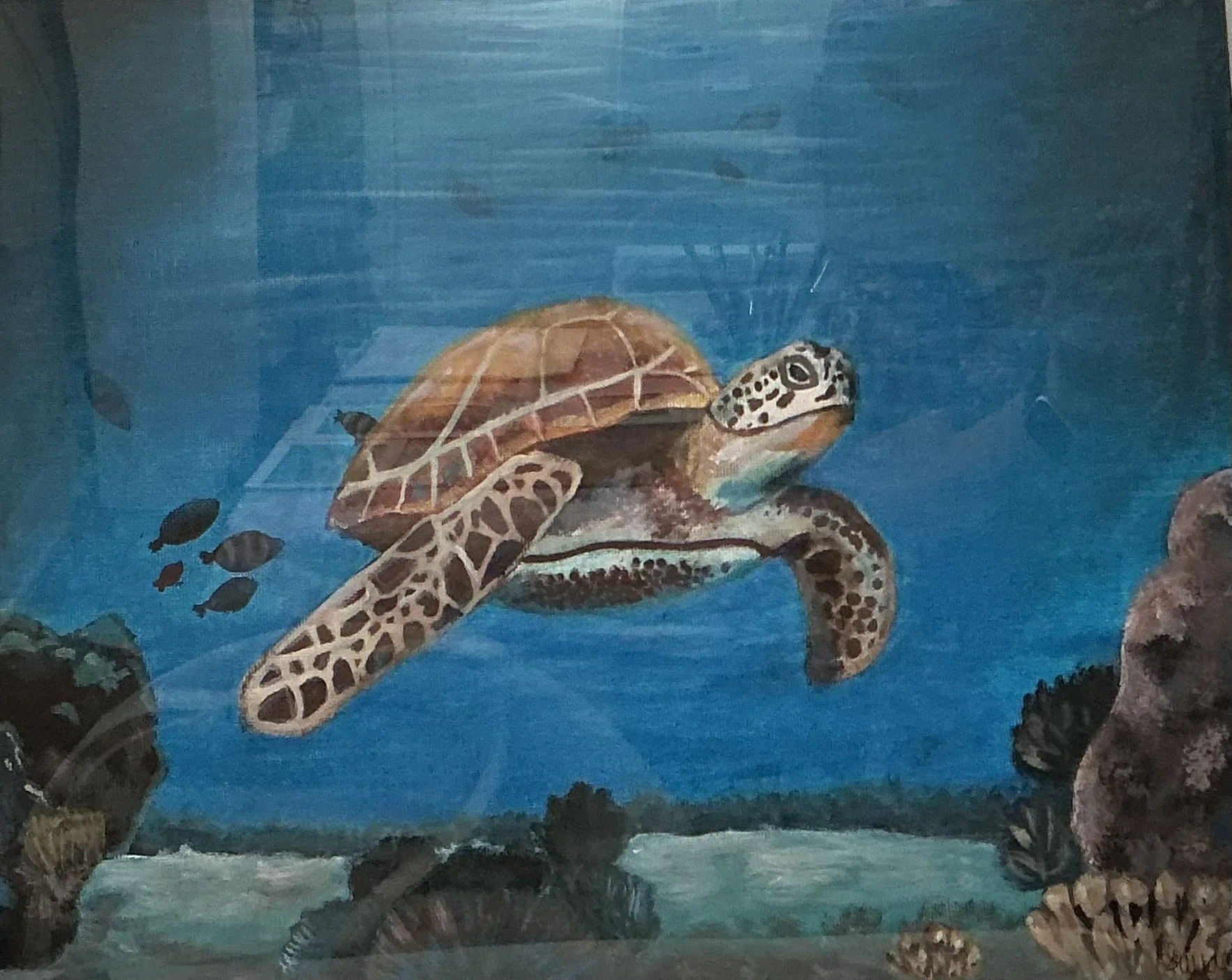 First Place - Adventurous Sea Turtle