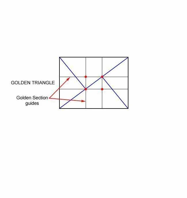 Not All Who Wander Are Lost