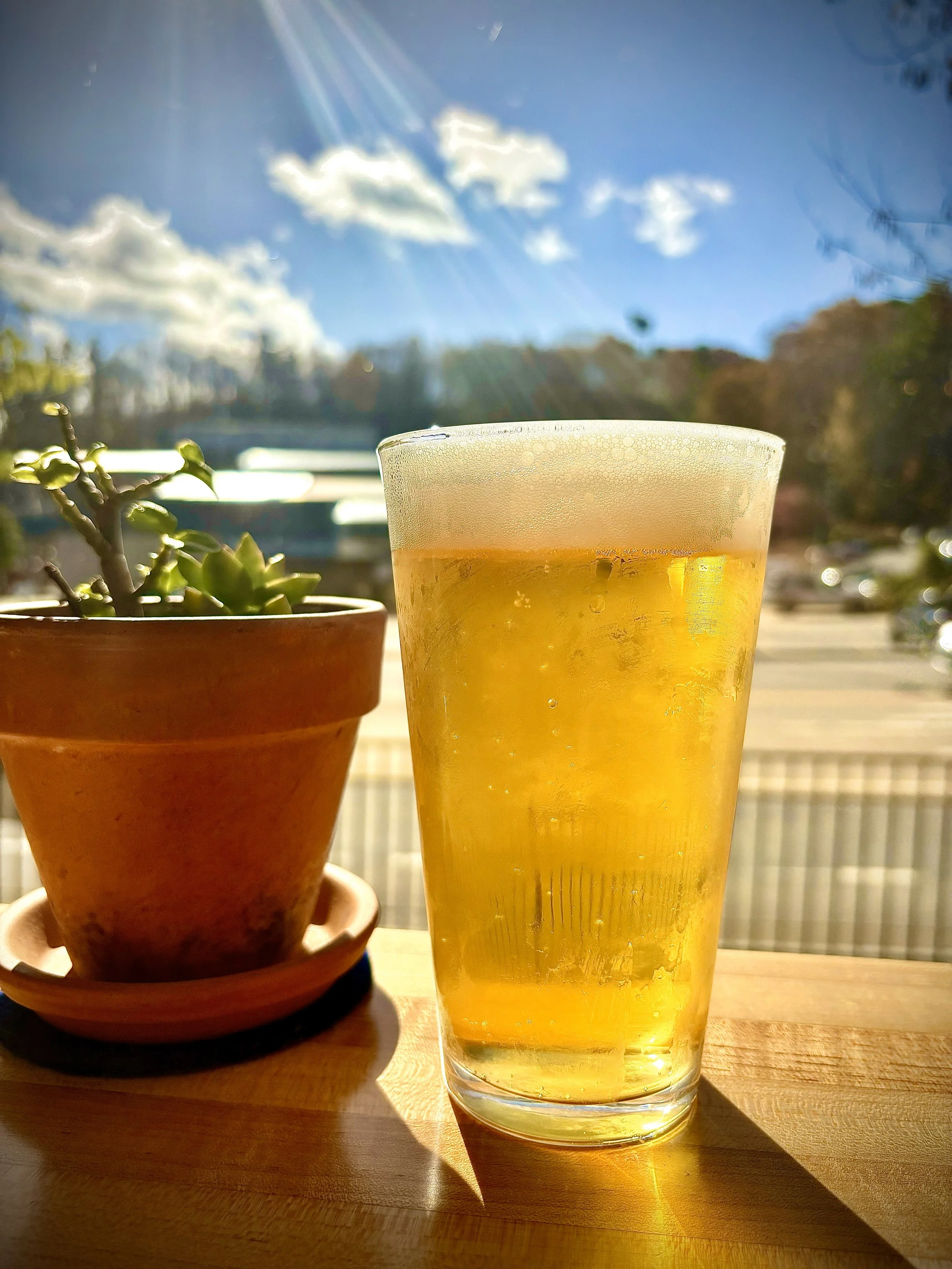 A glass of beer on a wooden table with sunlight shining on it and a potted plant beside it, with a bright blue sky and clouds in the background.