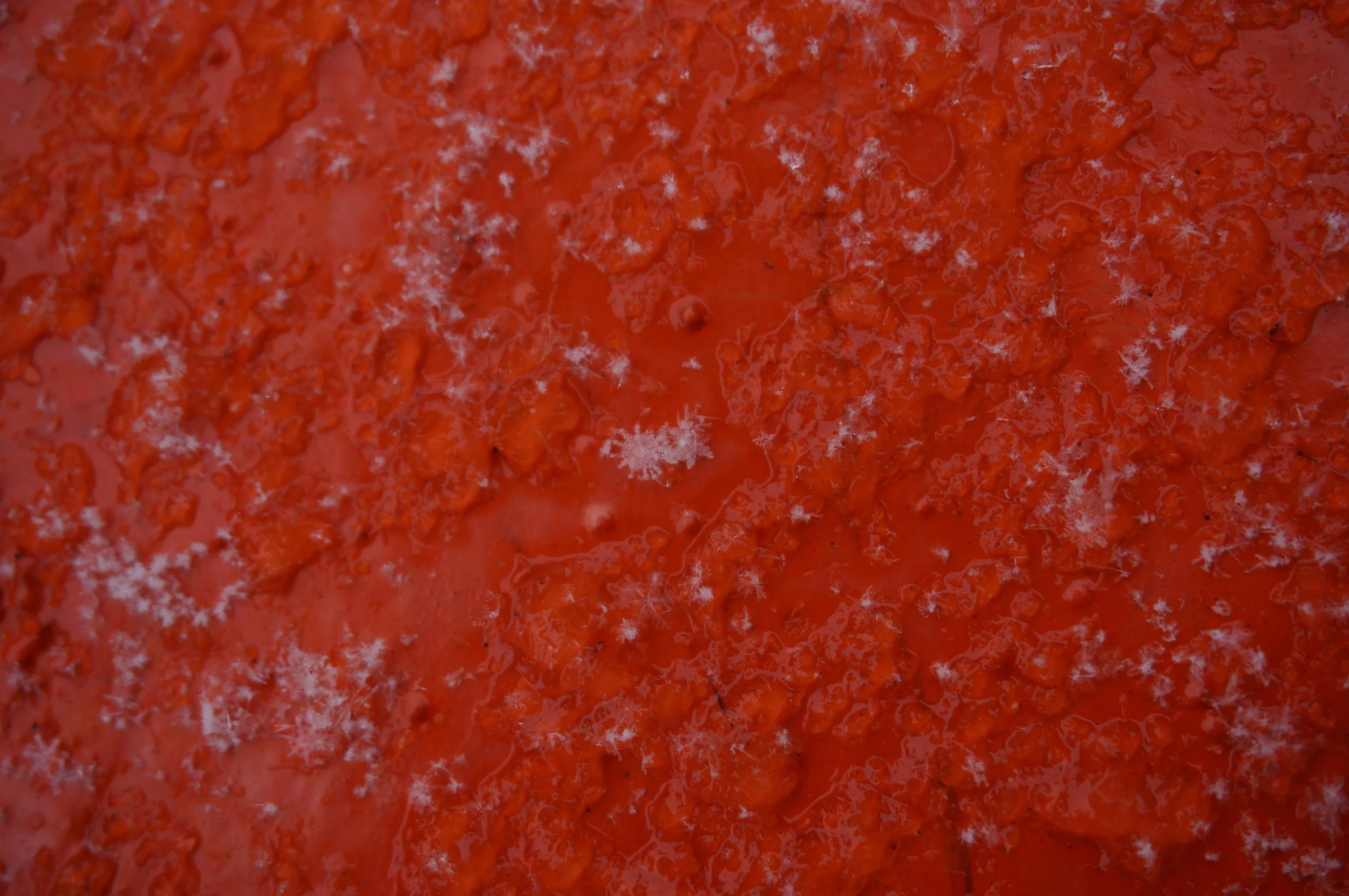 DSC04446.JPG