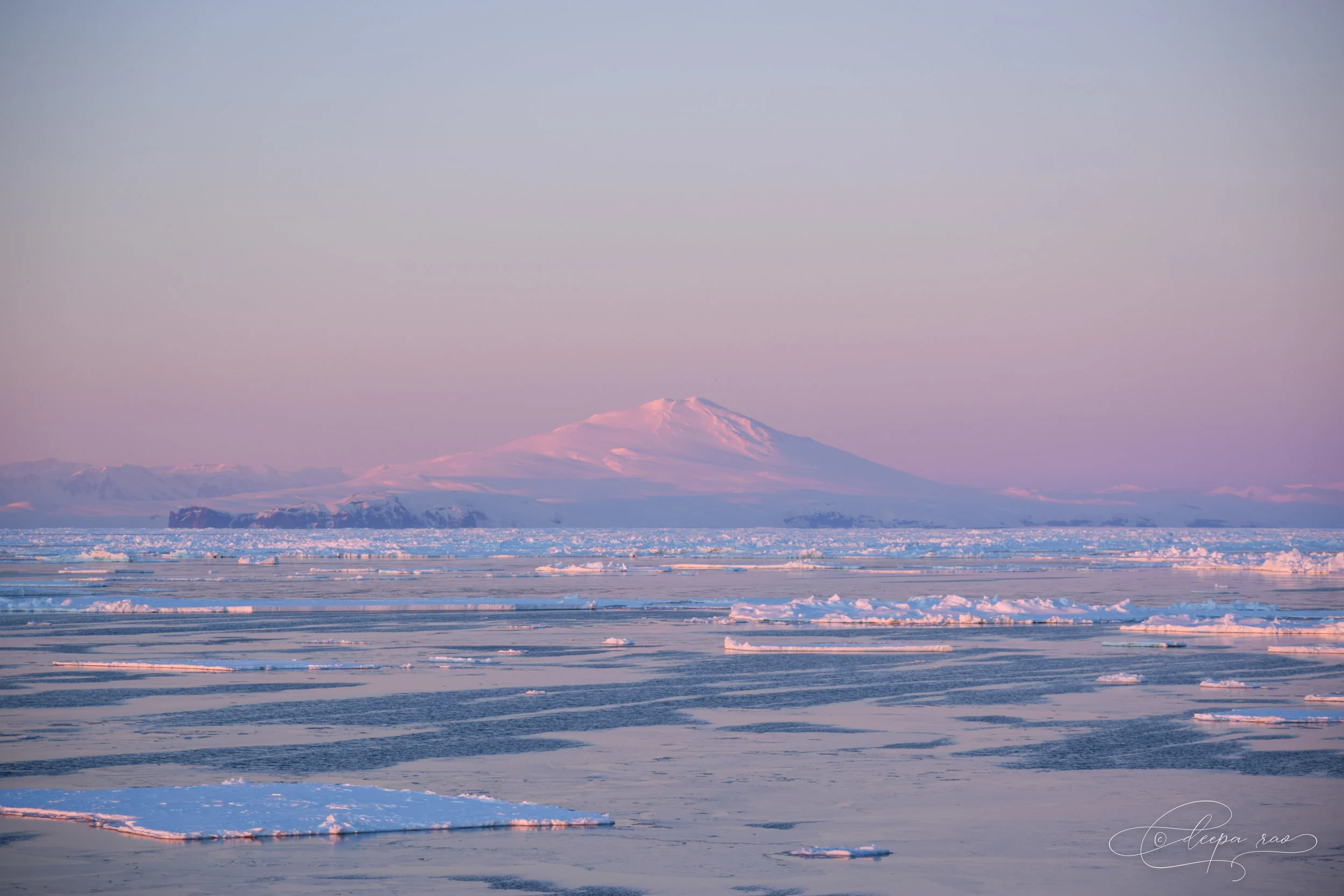 Rao_0409-2.jpg