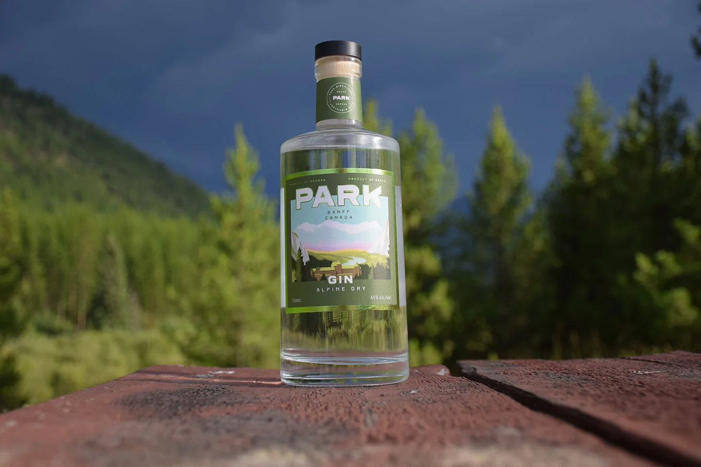 Copy-of-GIN-camping.jpg