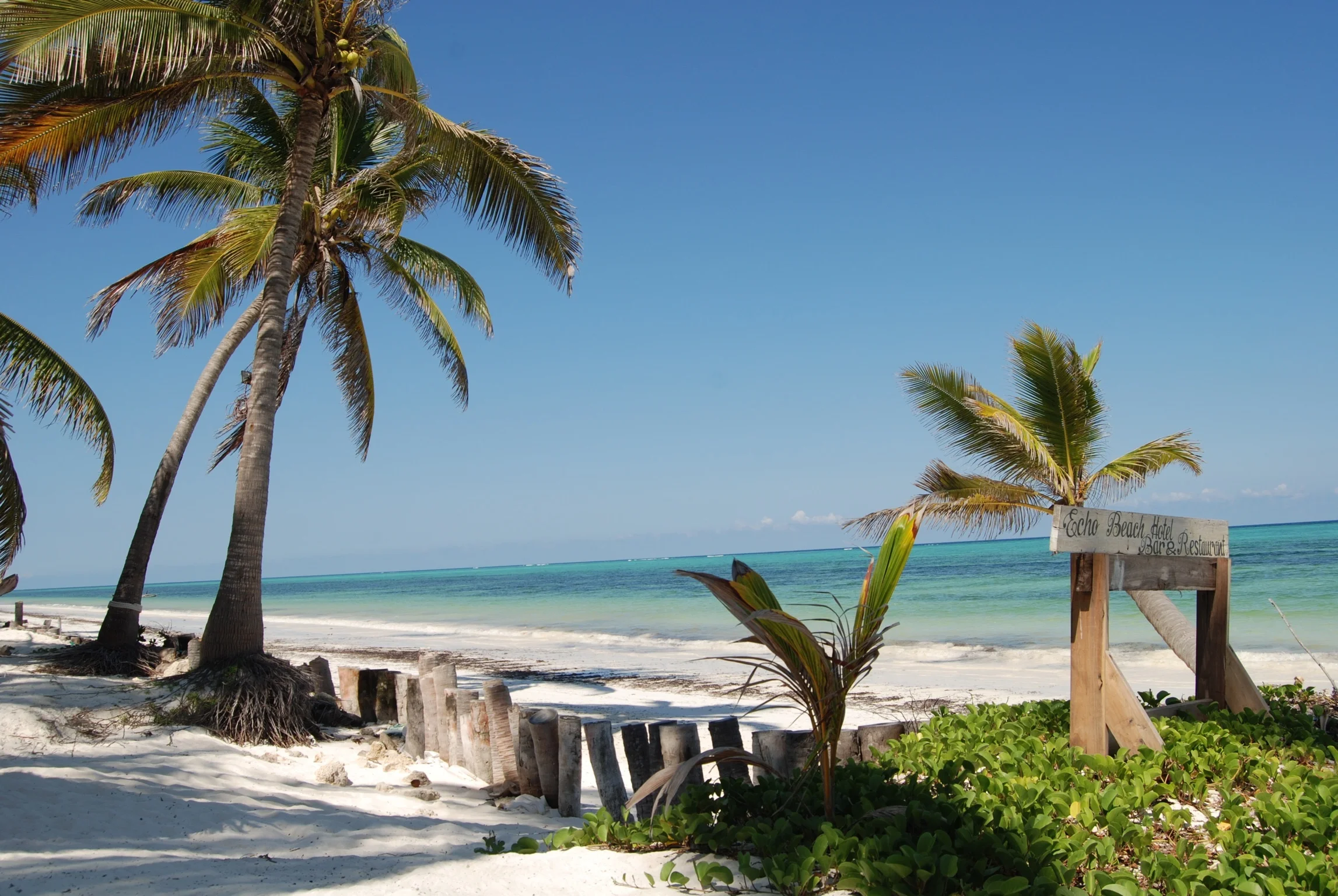 zanzibar.jpg