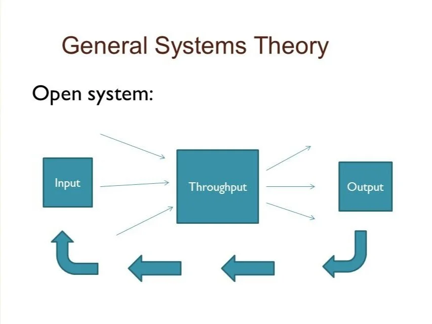 'Open System Theory by Warner Burke'