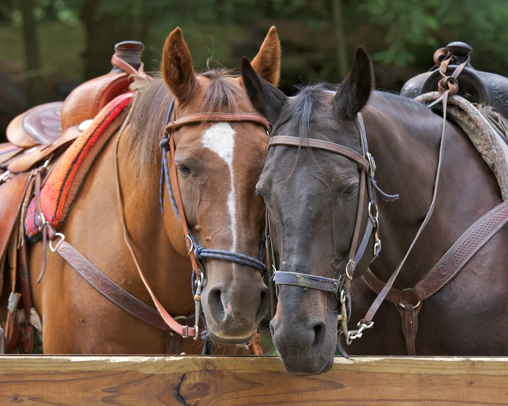 Photo by amveale/iStock / Getty Images