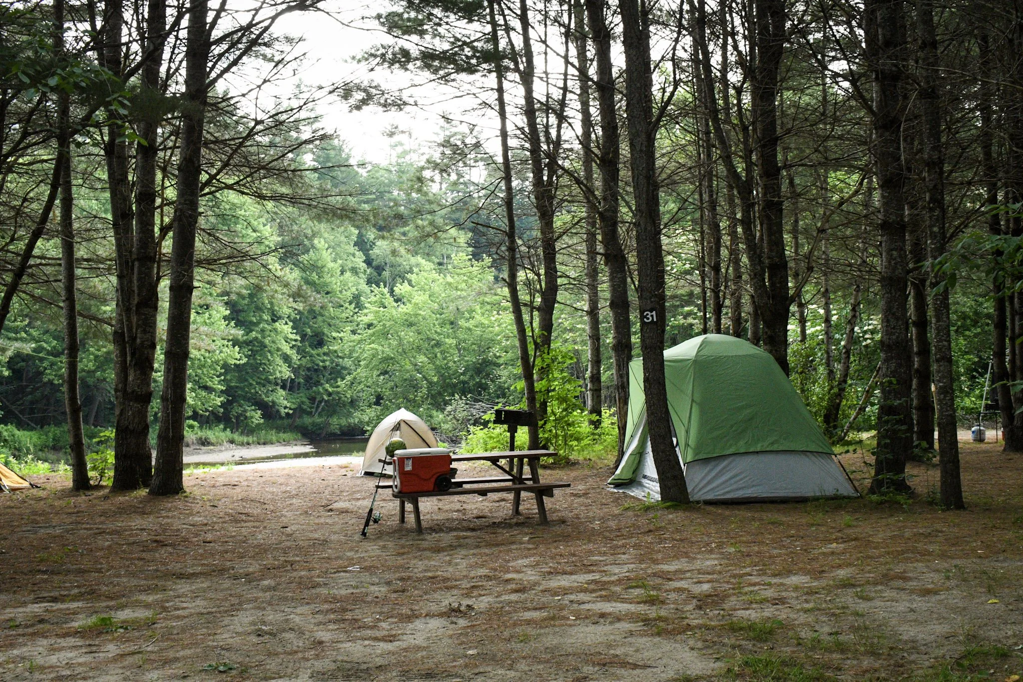 DSC_6716 (1).jpg