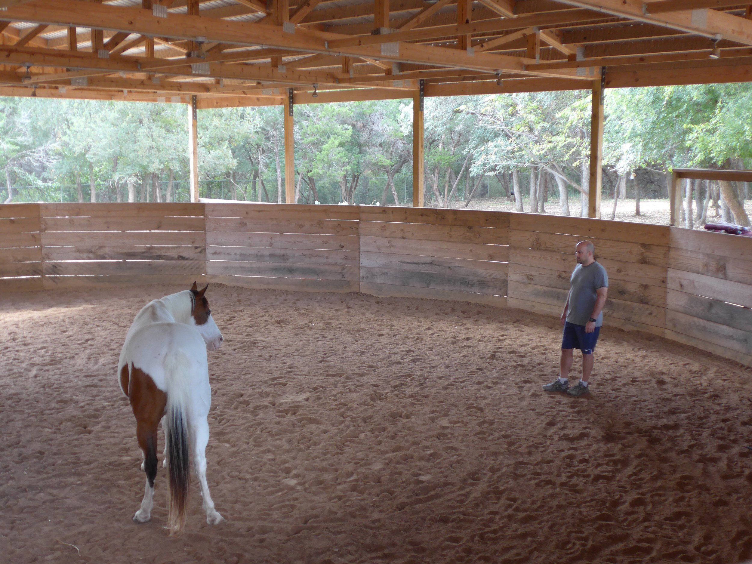  Learned to train a horse. 