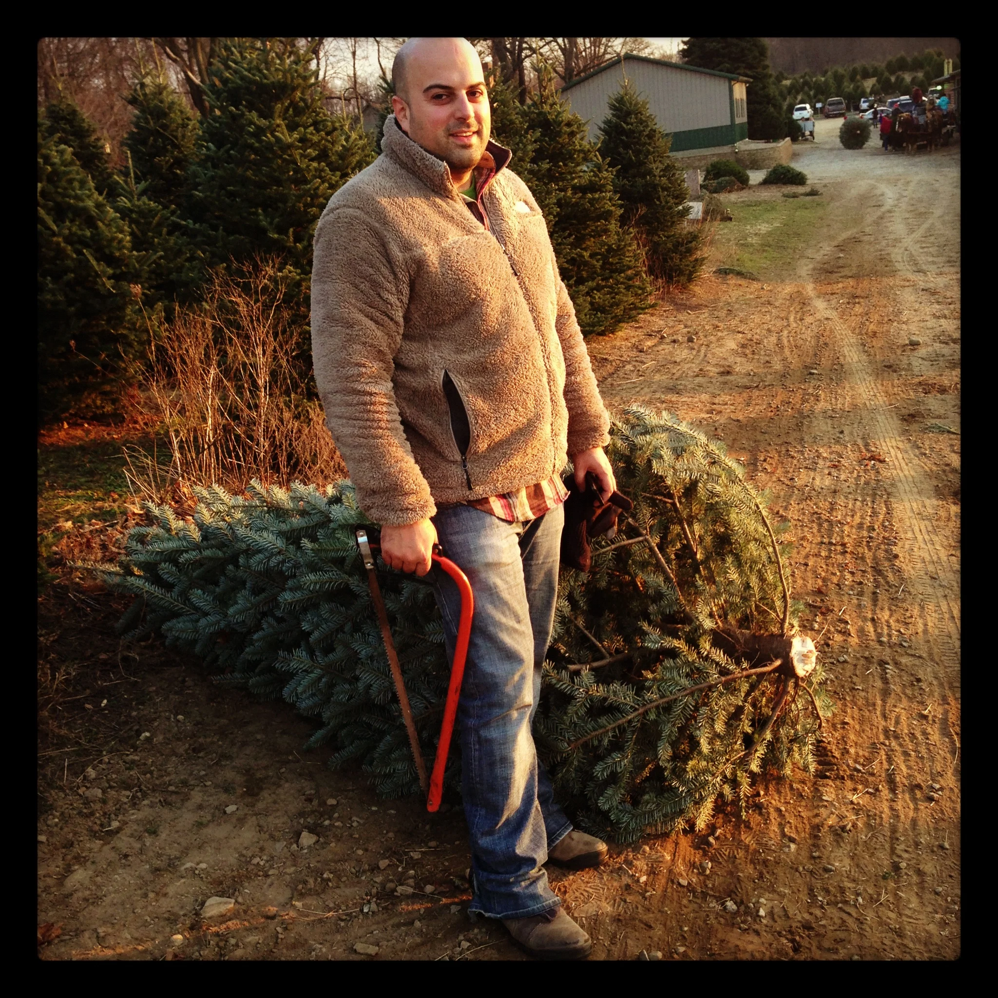  Chopped down my own Christmas tree. 