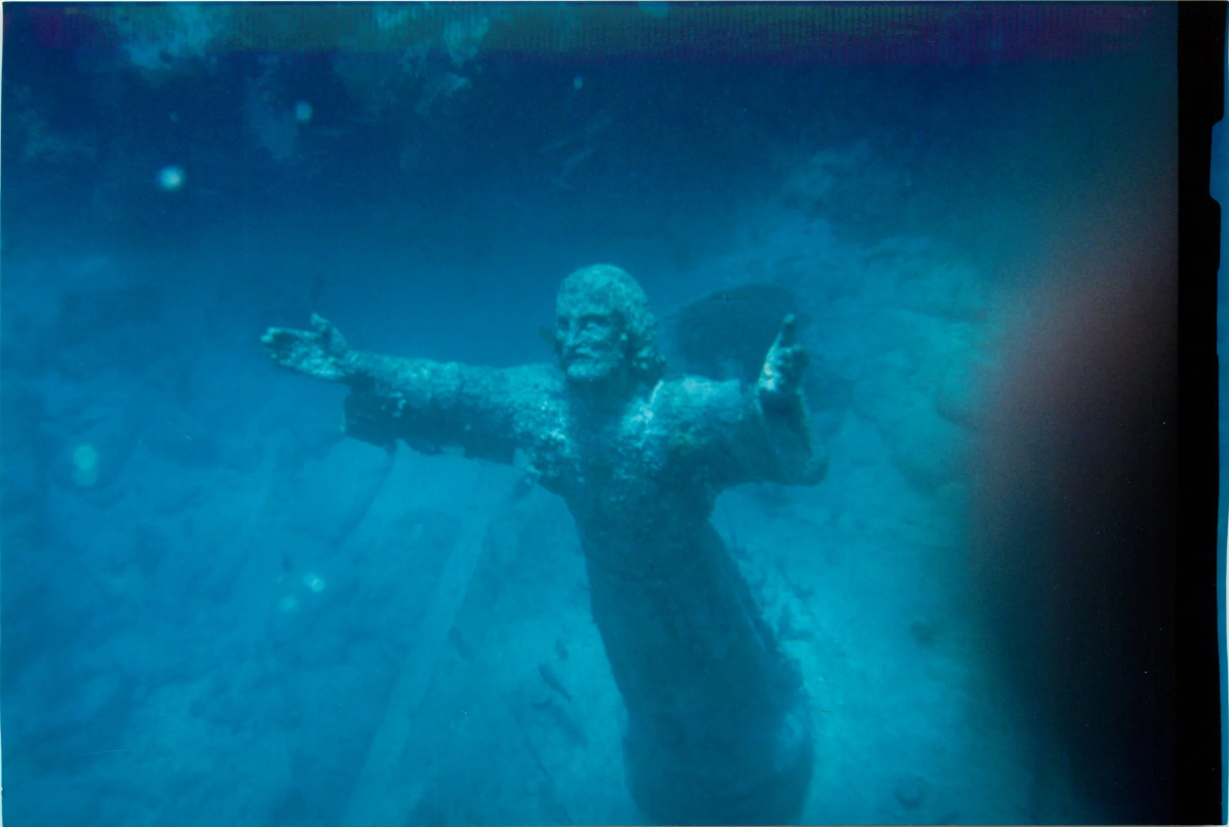 Scuba dived on two continents including wreck dives. 