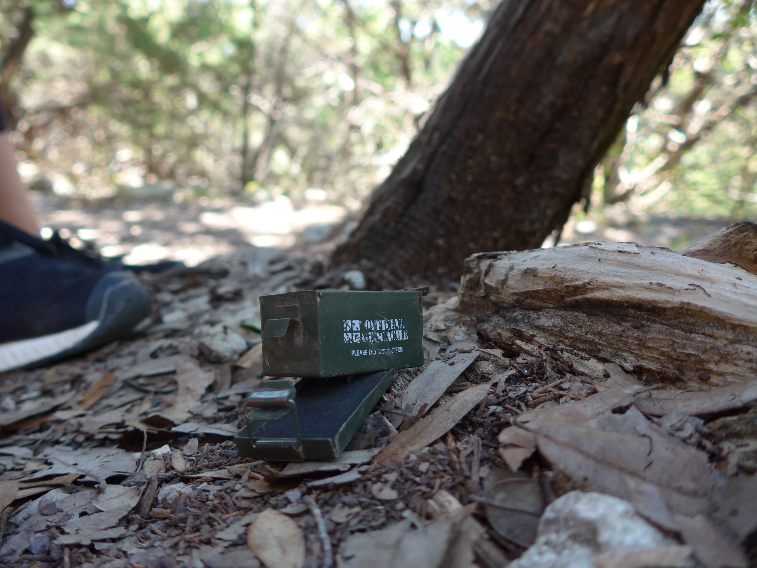  Geocached through a forrest in Austin. 