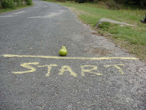 Not totally sure where the pear is going, but at least it is starting!