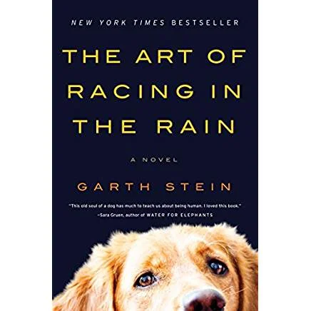 Executive #Bookshelf : The Art of Racing in the Rain - Garth Stein @garthstein