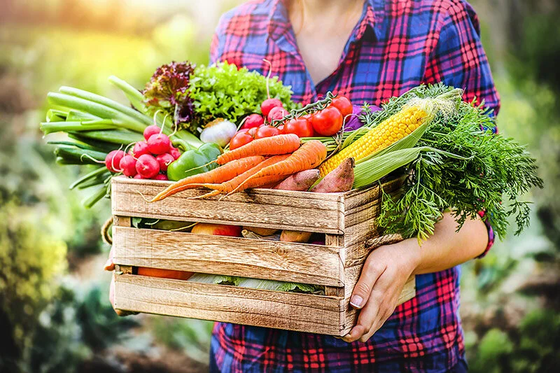 FARMERS MARKET