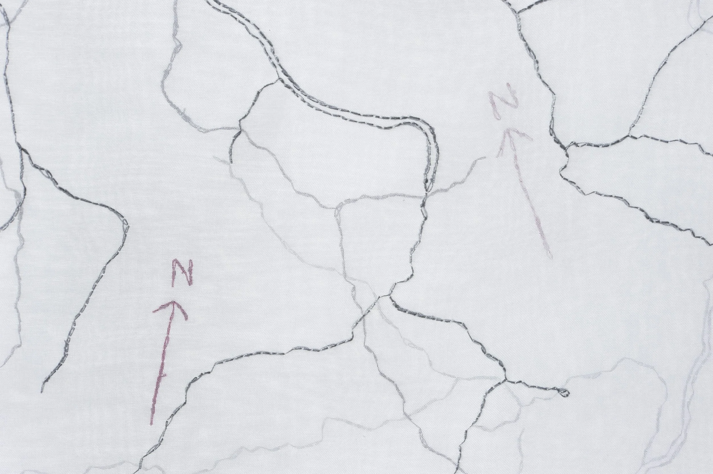 Watershed Series: Cedar River Detail