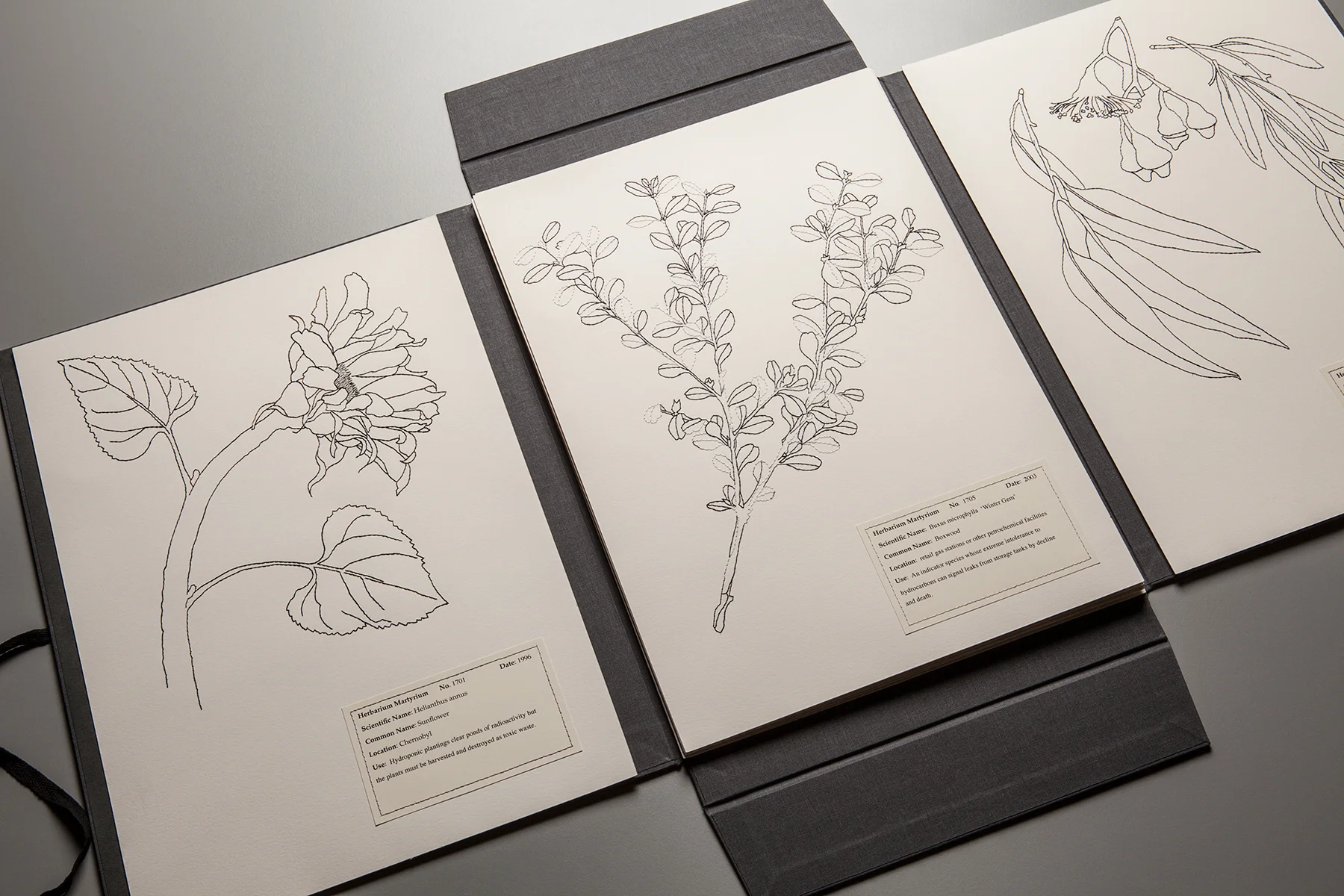 herbarium4.jpg