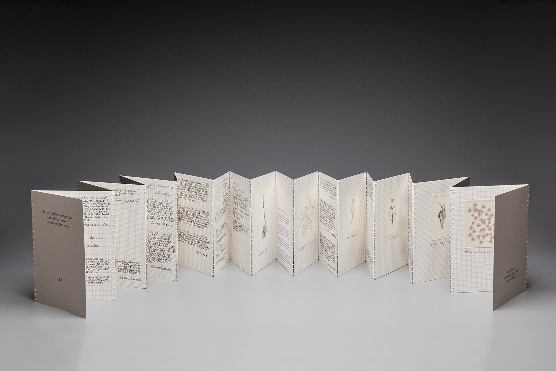 Botanizing the Anthropocene at the Bloedel Reserve: A Commonplace Book.