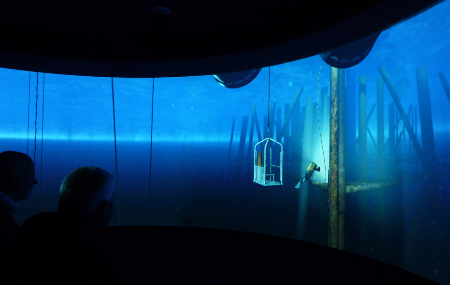 Diver with flash from screen.png