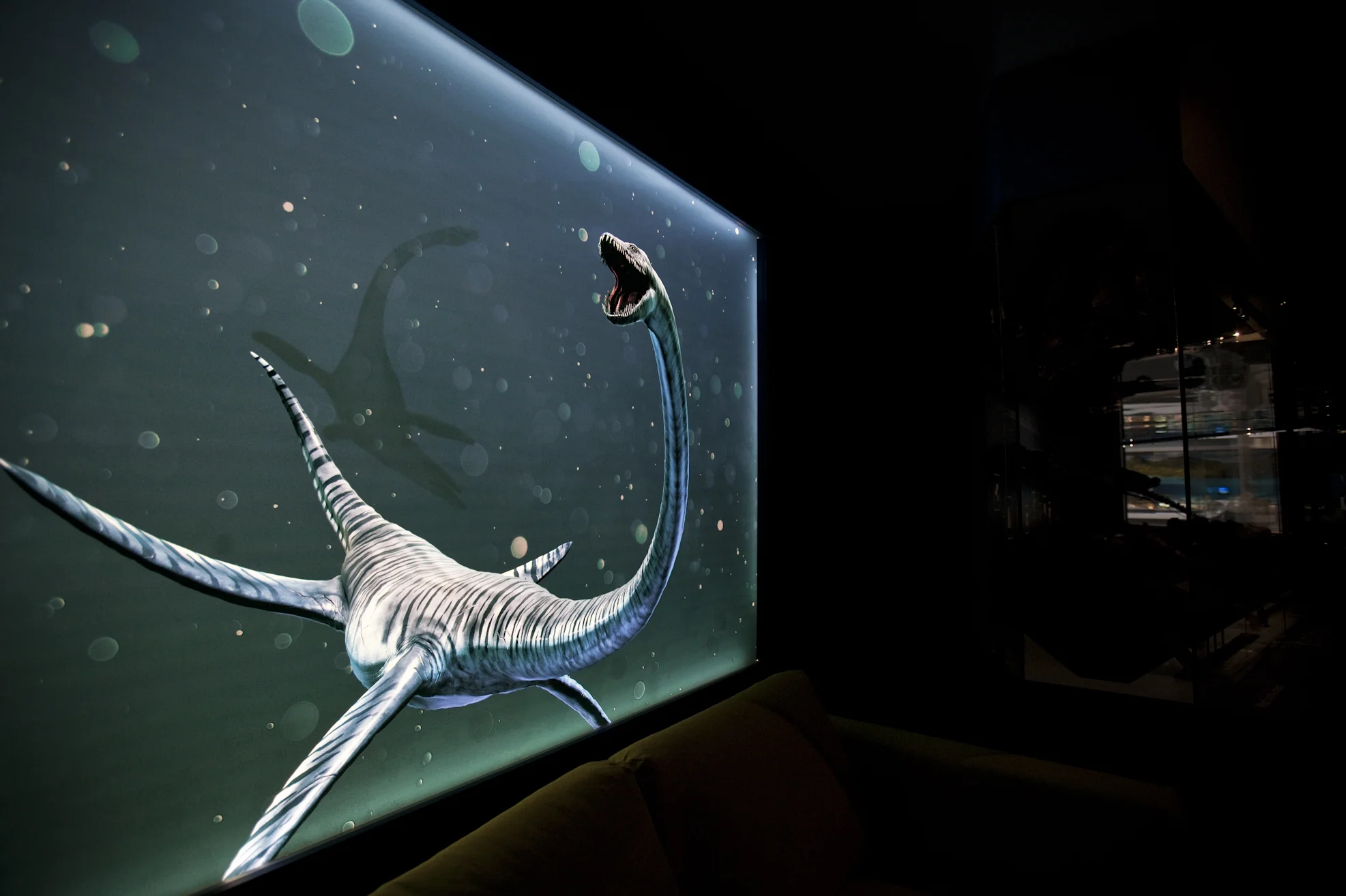  Plesiosaur 