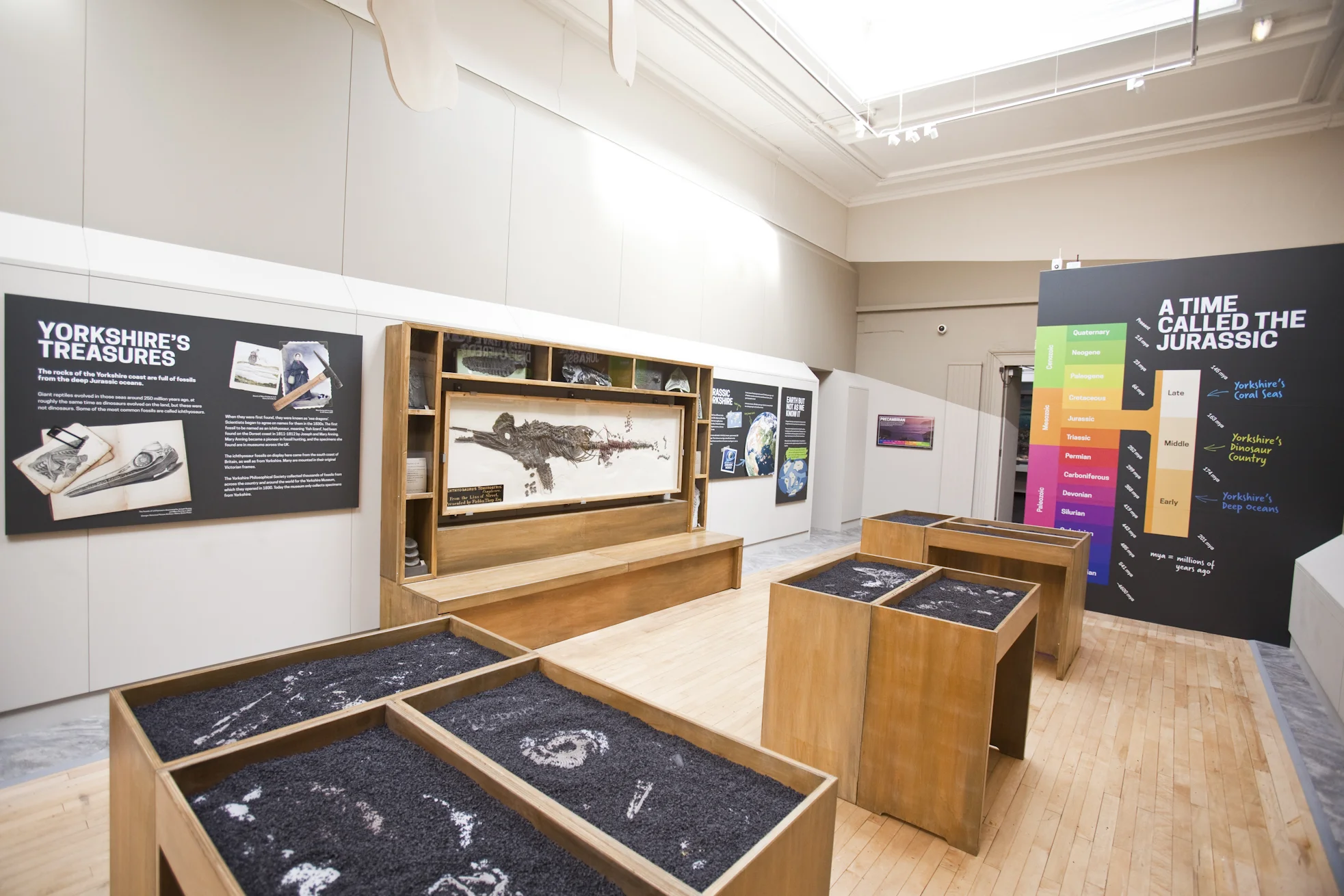  The introductory Discovery Gallery tells the story of discovery, collection and the building of knowledge through the scientific process 