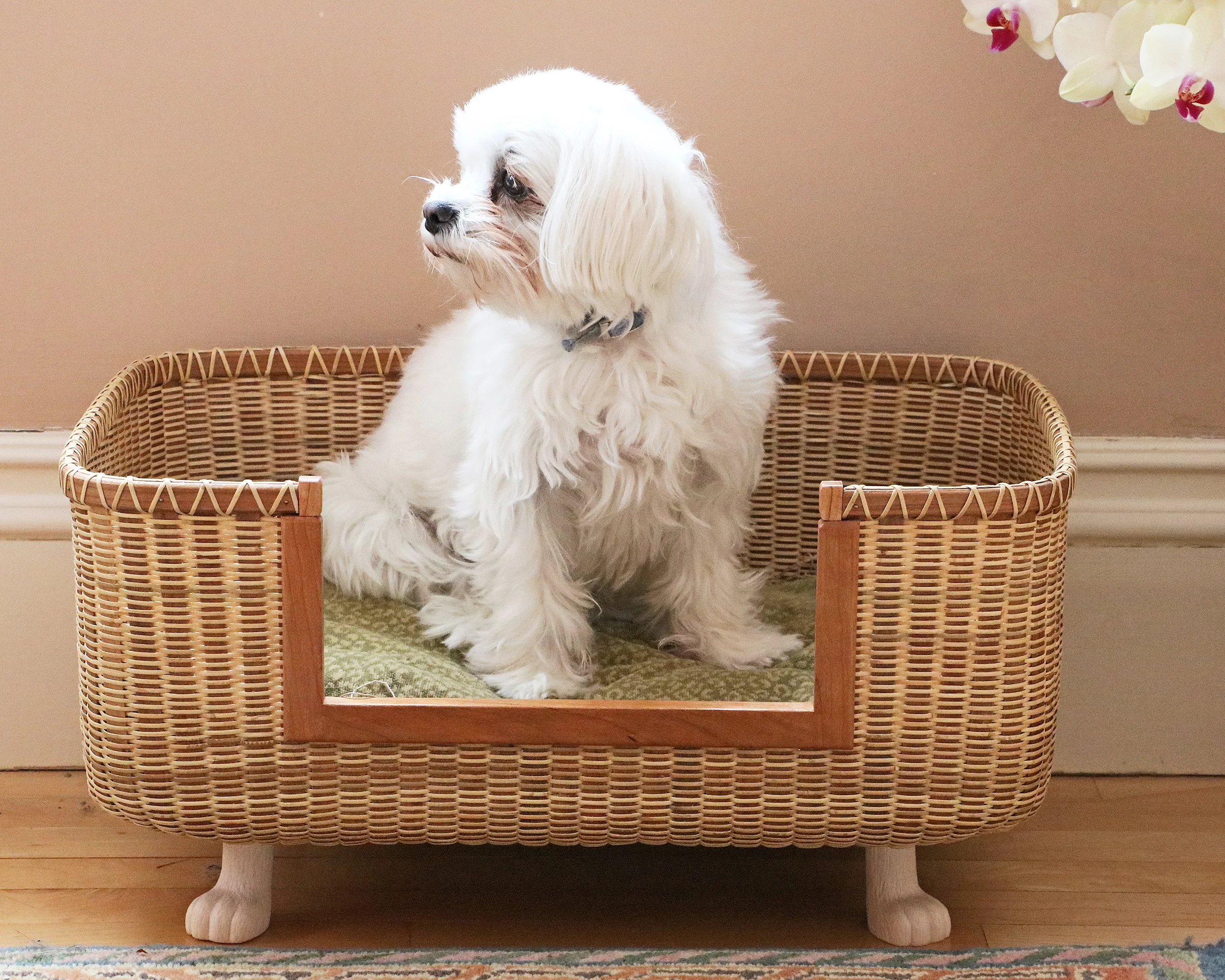 SUSANPARRISH_DOGBED.jpg