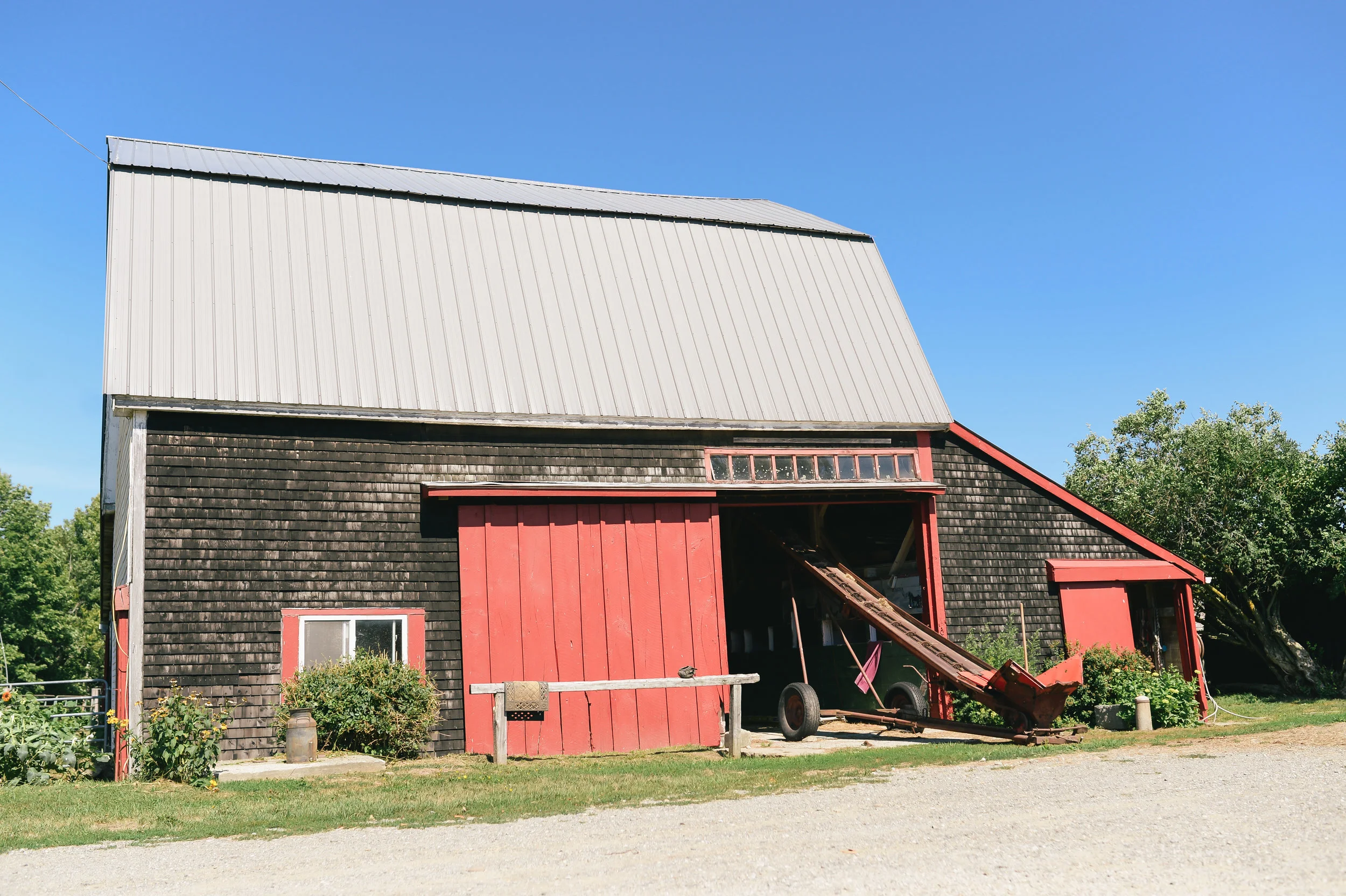 veronica horses-2.jpg