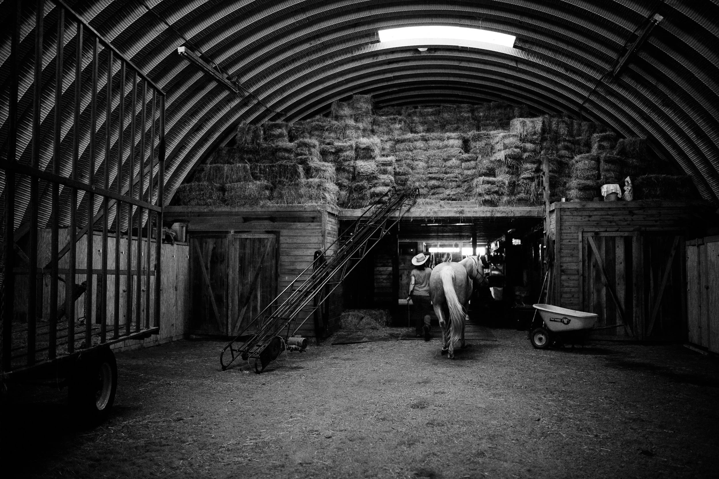 mj horses book-14.jpg