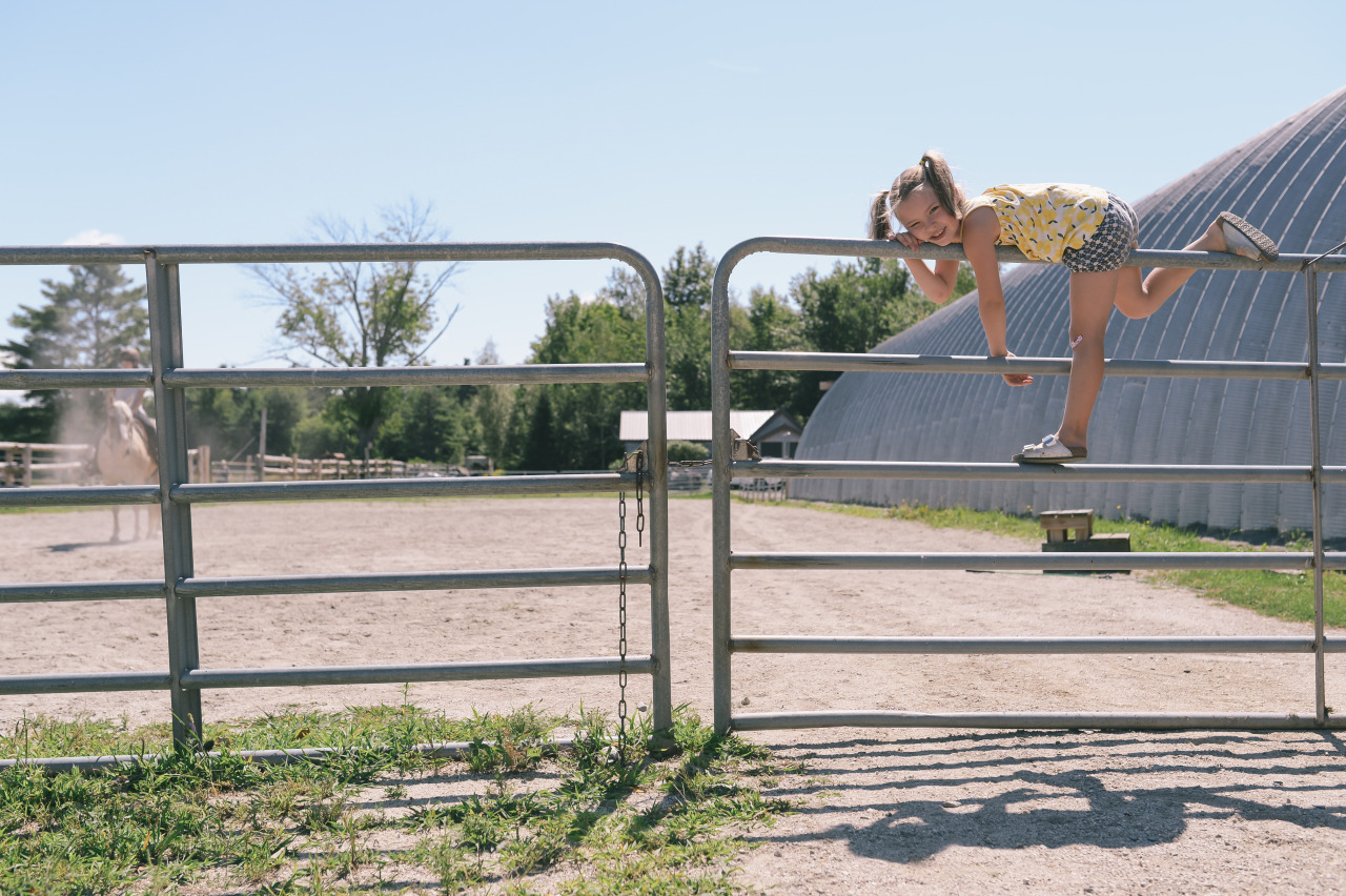 kiki fence horse.jpg