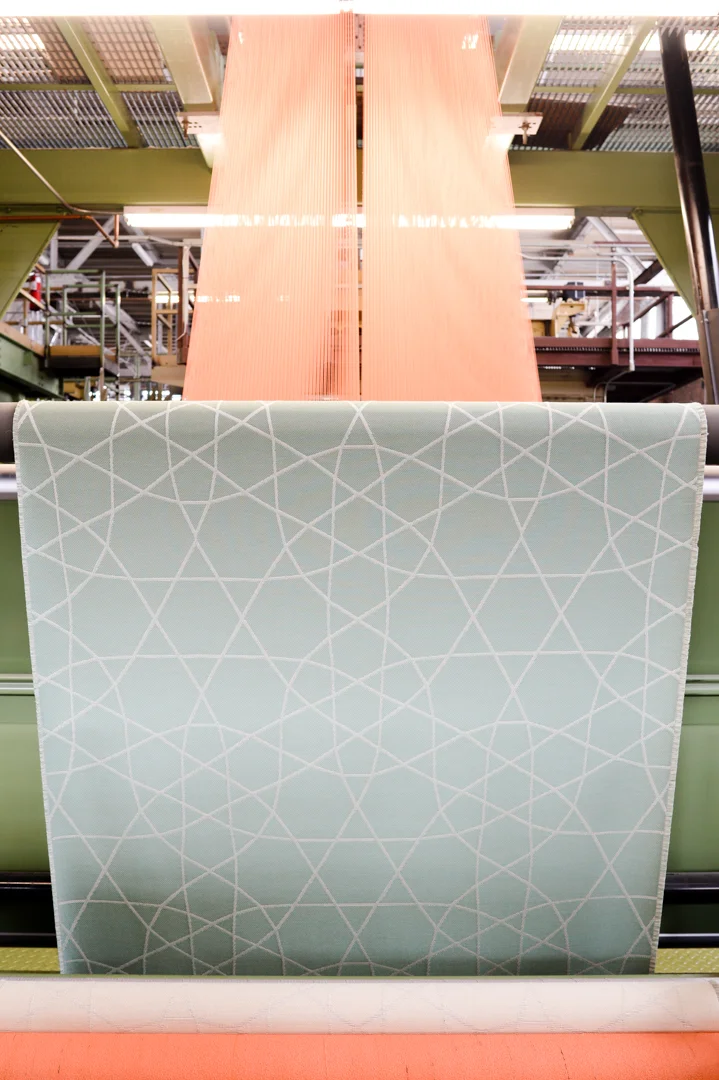 oriole september pavo textiles-4.jpg