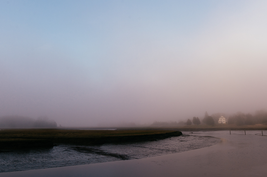 essex fog-3.jpg