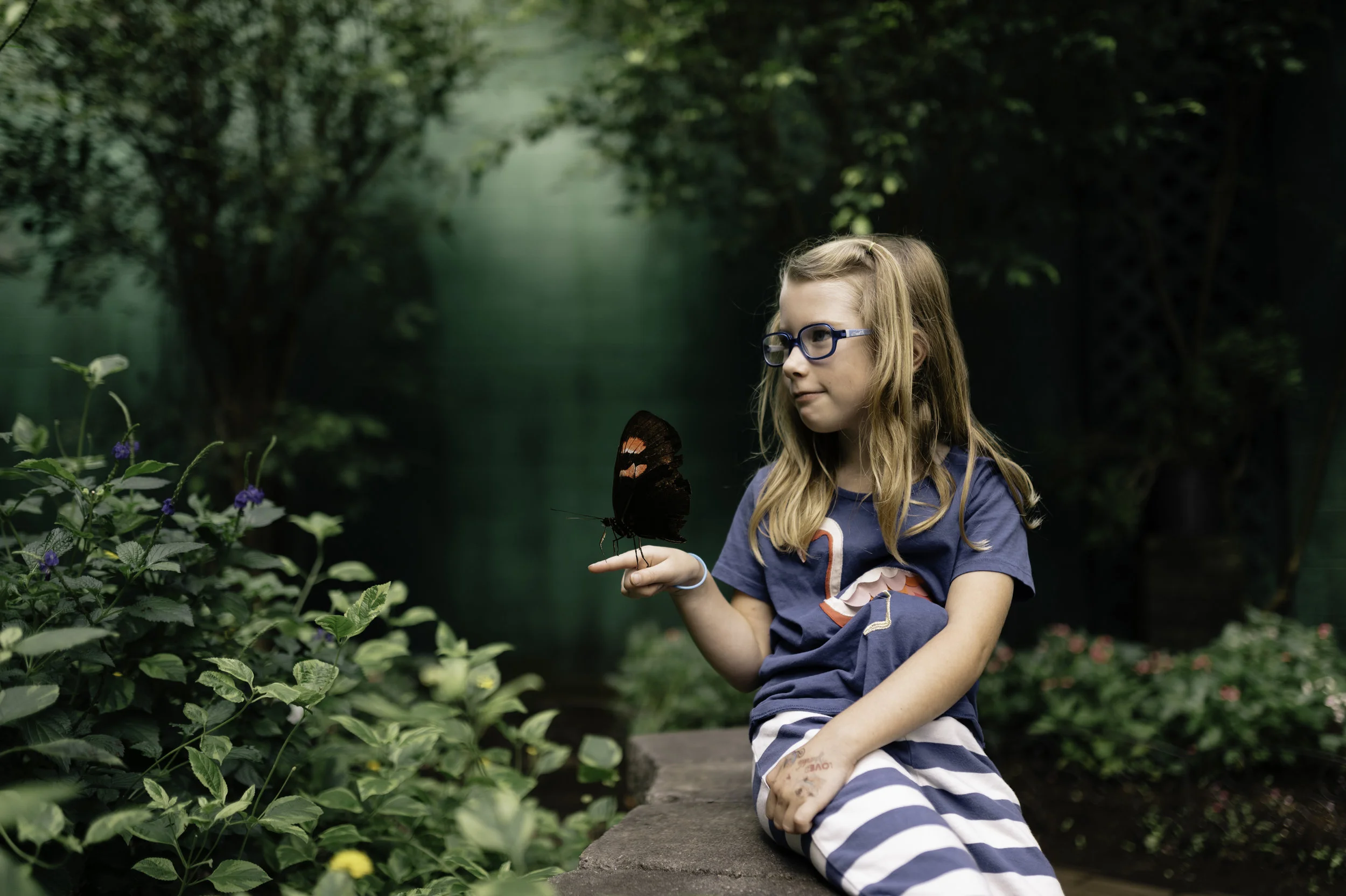 paisley butterfly.jpg