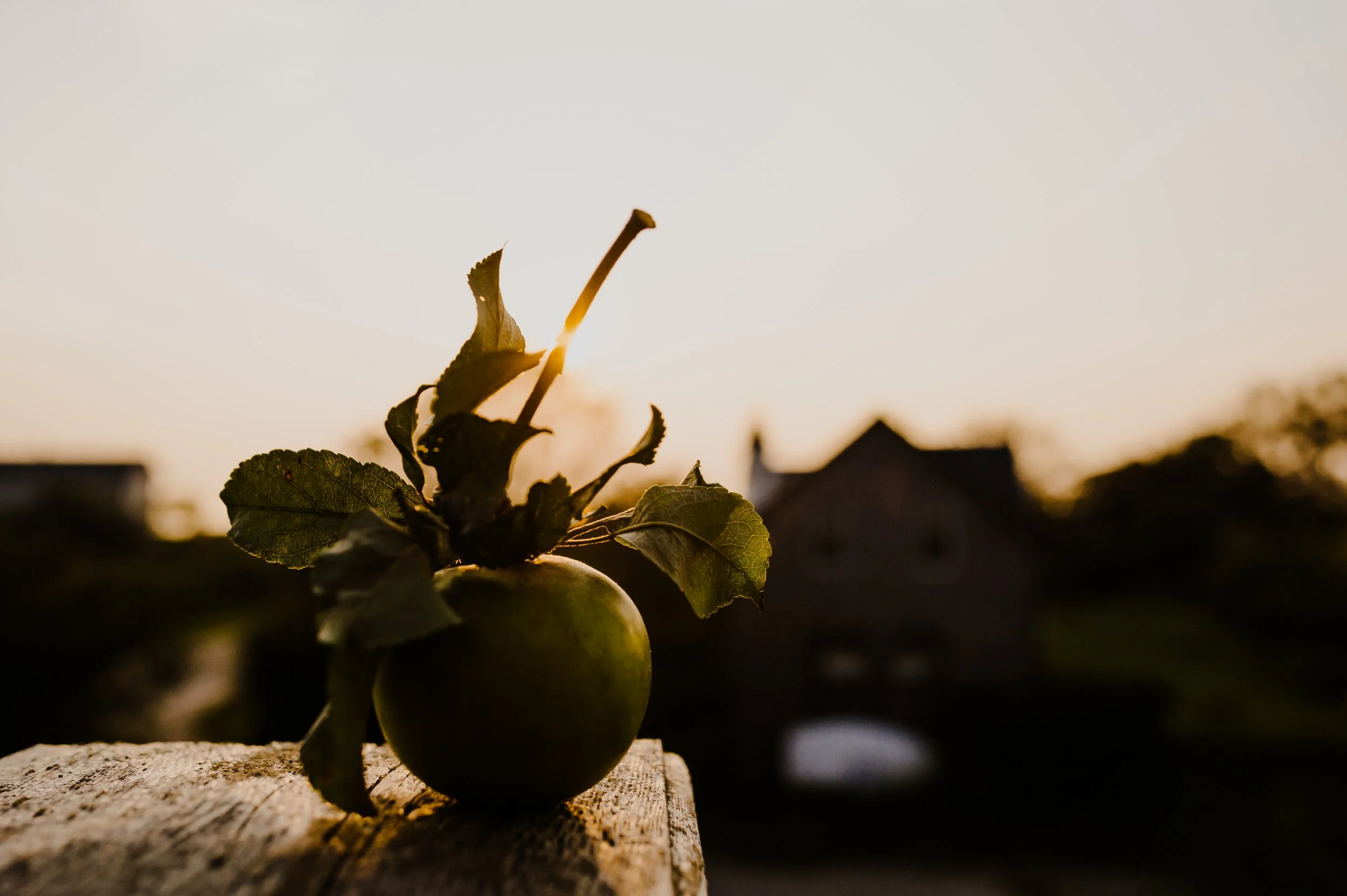 block island day 3 2021-79.jpg