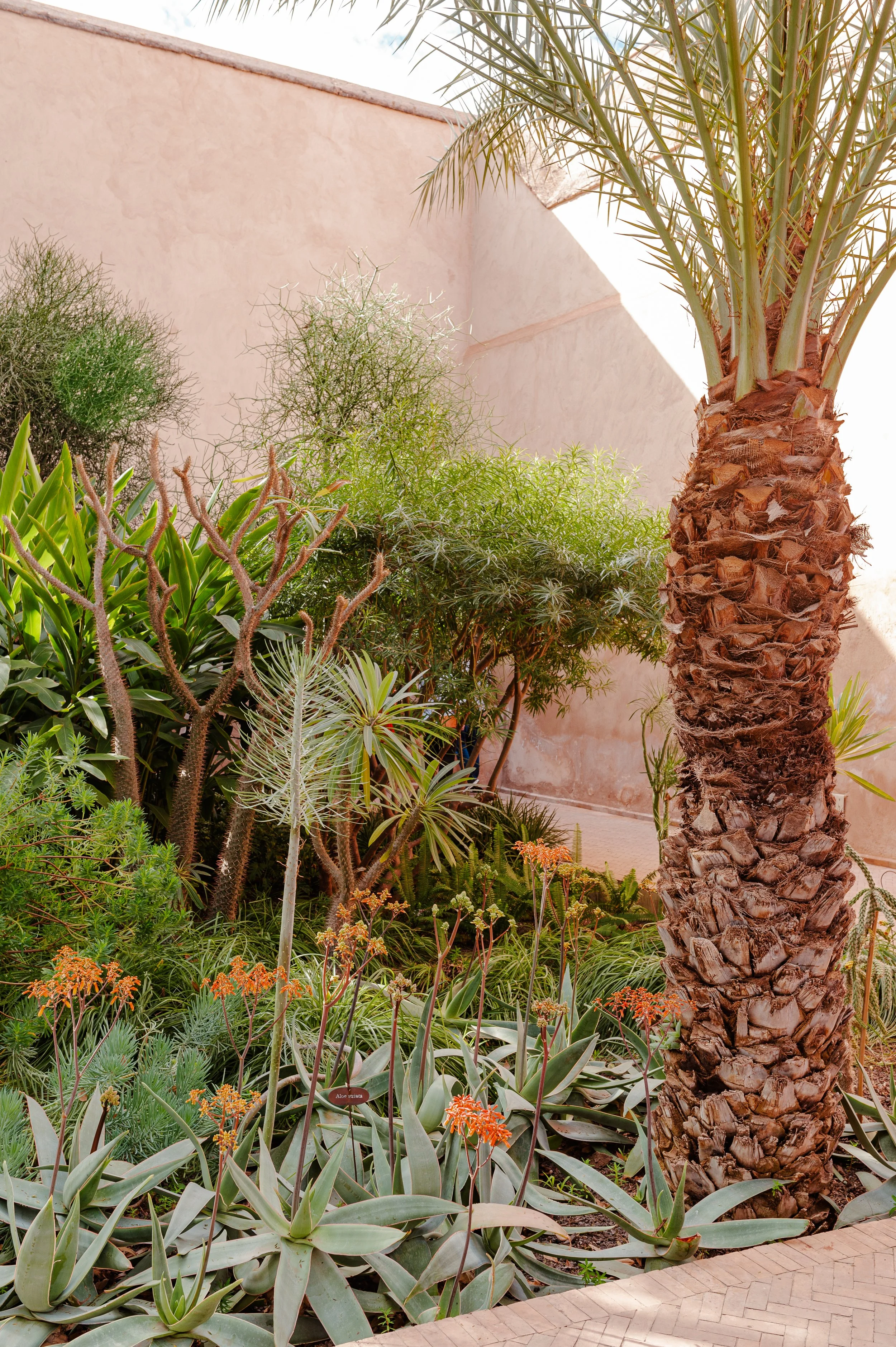 Marrakech-70.jpg