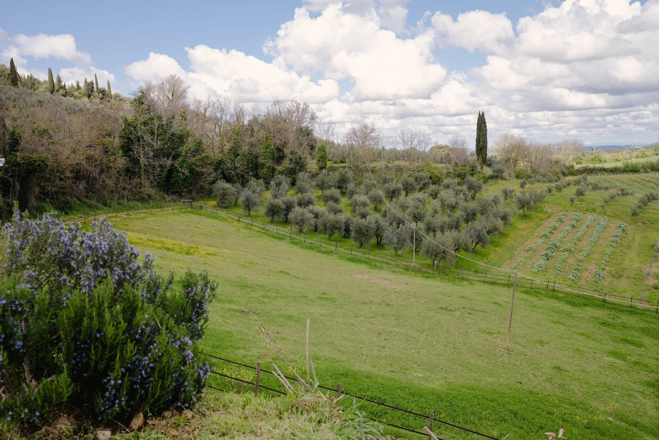 tuscany-26 (1).jpeg