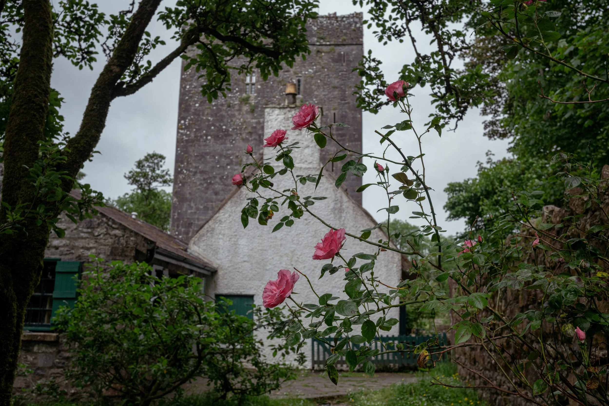 Thoor Ballylee-8.jpeg