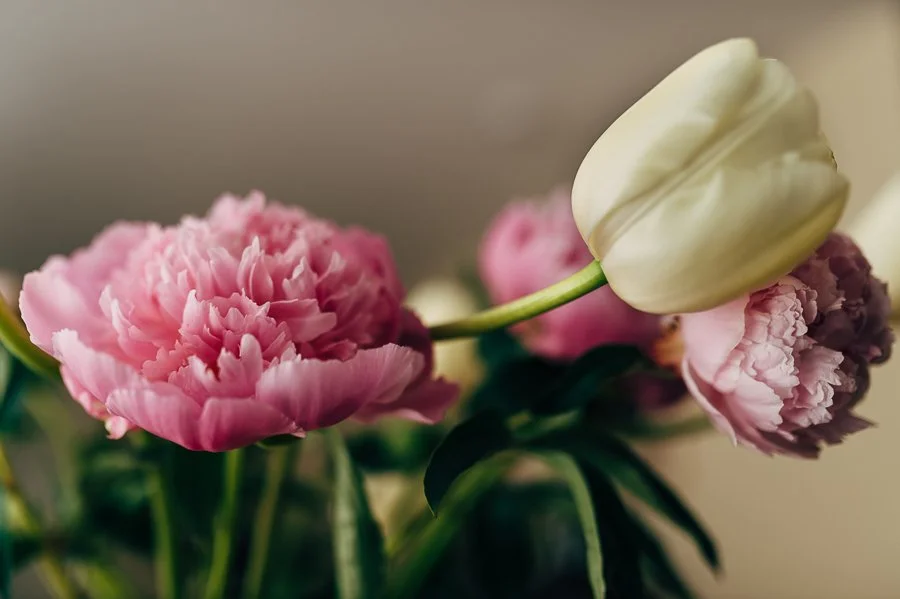 mothers day-22 (1).jpg