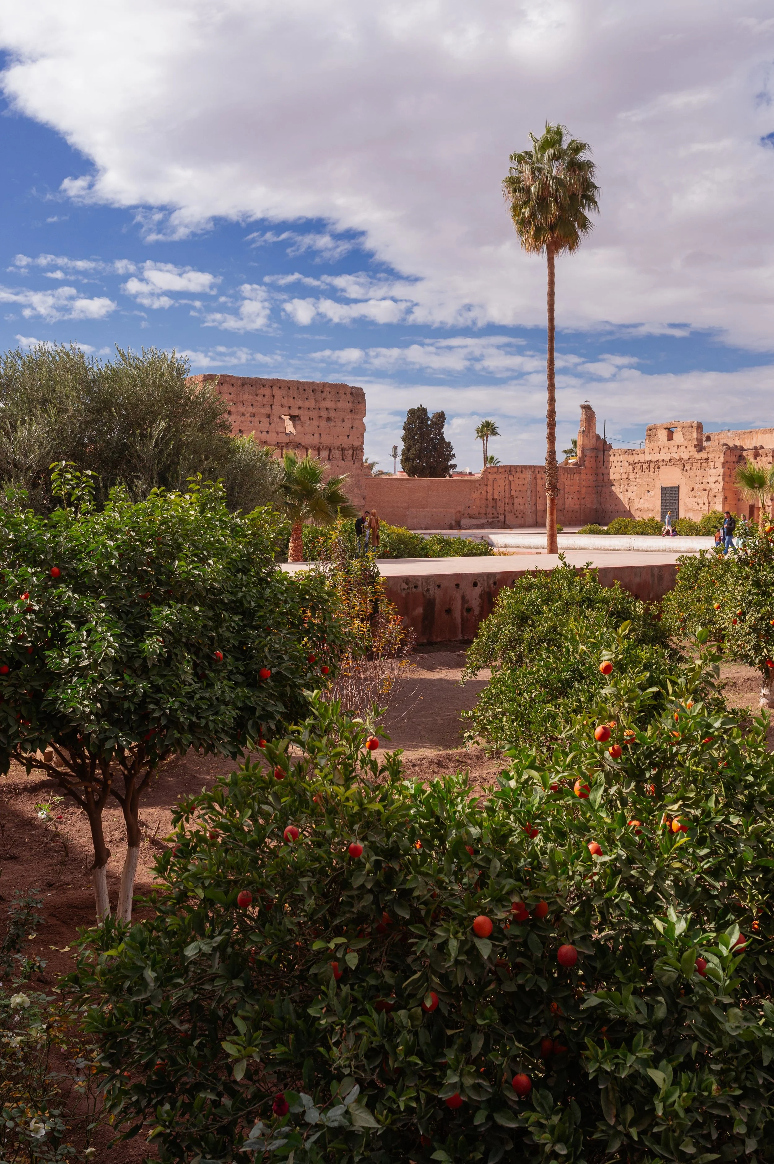 Marrakech-159.jpeg