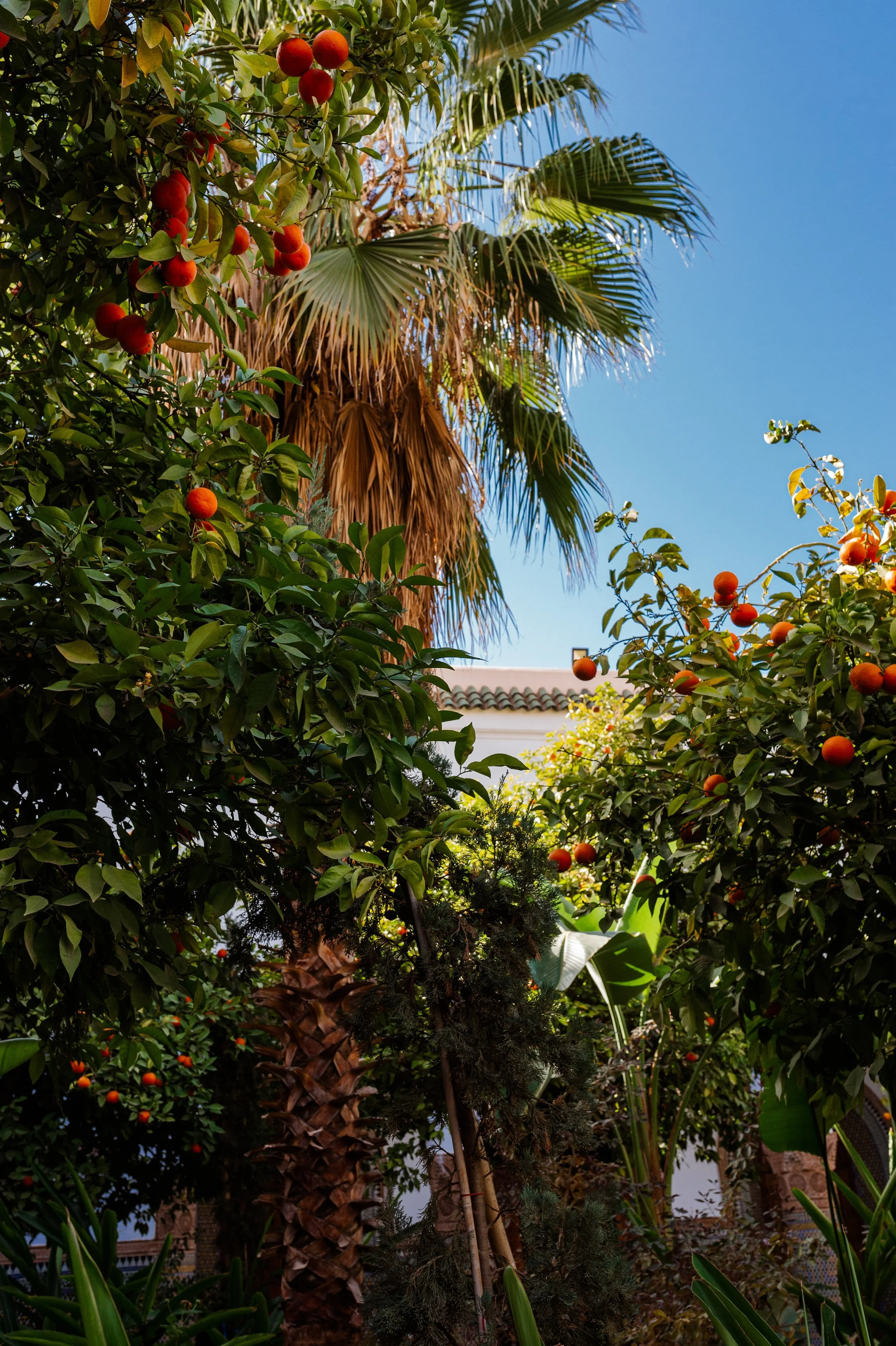 Marrakech-249.jpeg