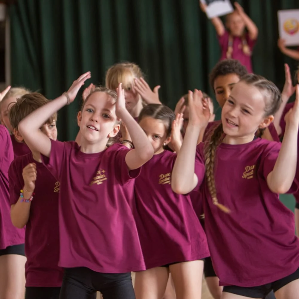 Throwback to our Dance Spectacular Summer School and big shout out to all of the siblings, cousins, friends and families that dance together at DA! We appreciate you all. If you have any fun pictures dancing with friends or family we would love to se